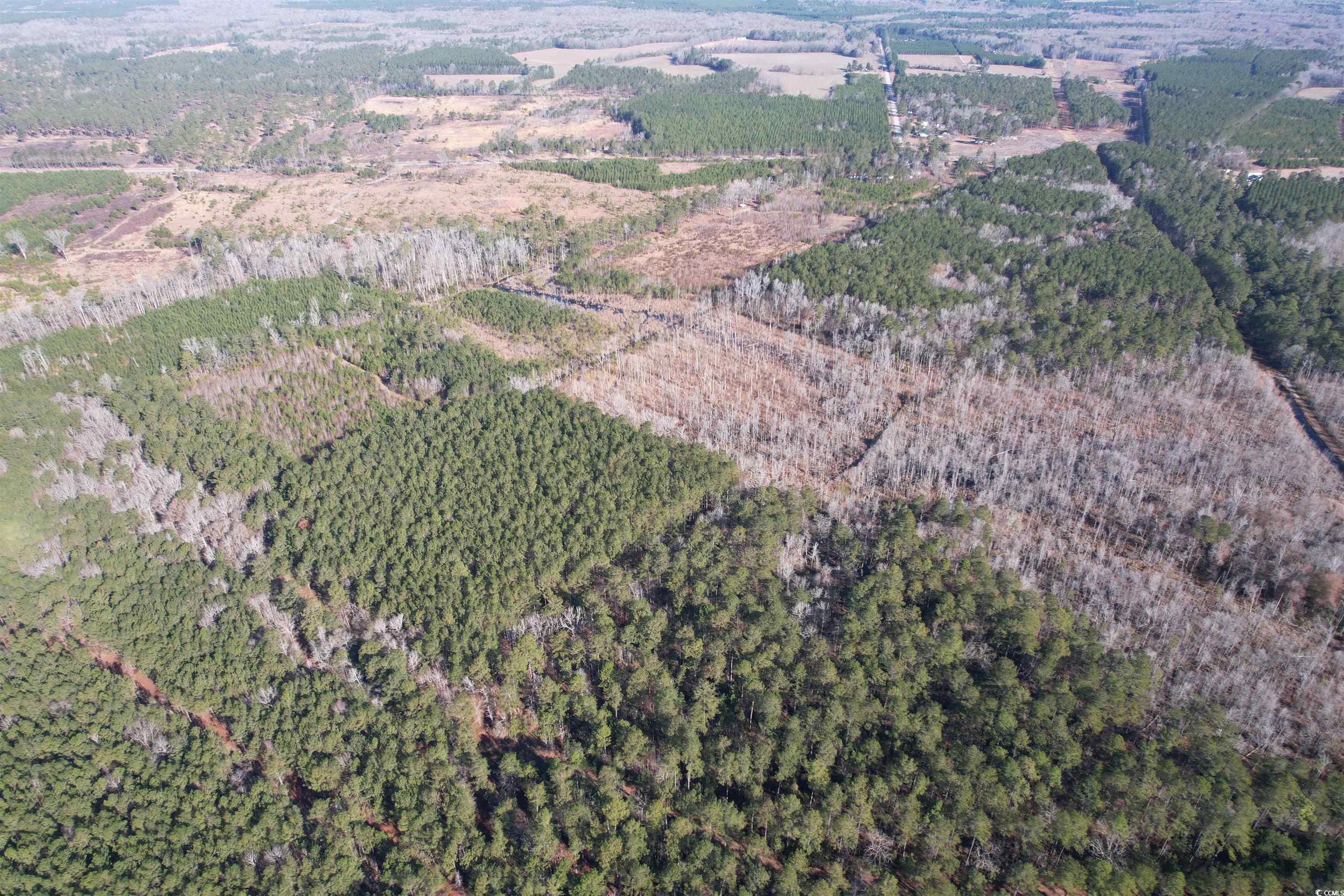 Tbd Highway 521 Property Photo 32