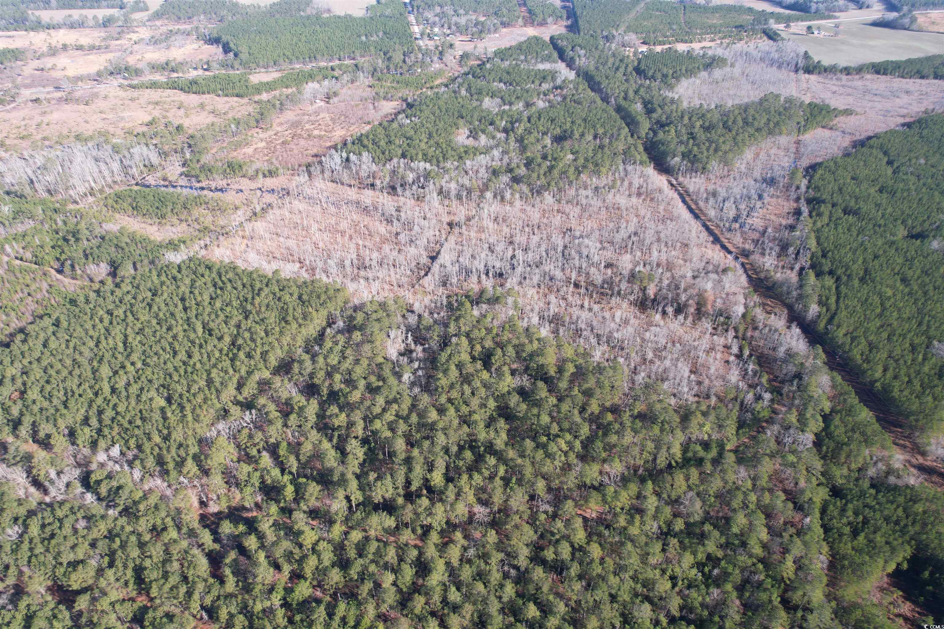 Tbd Highway 521 Property Photo 33