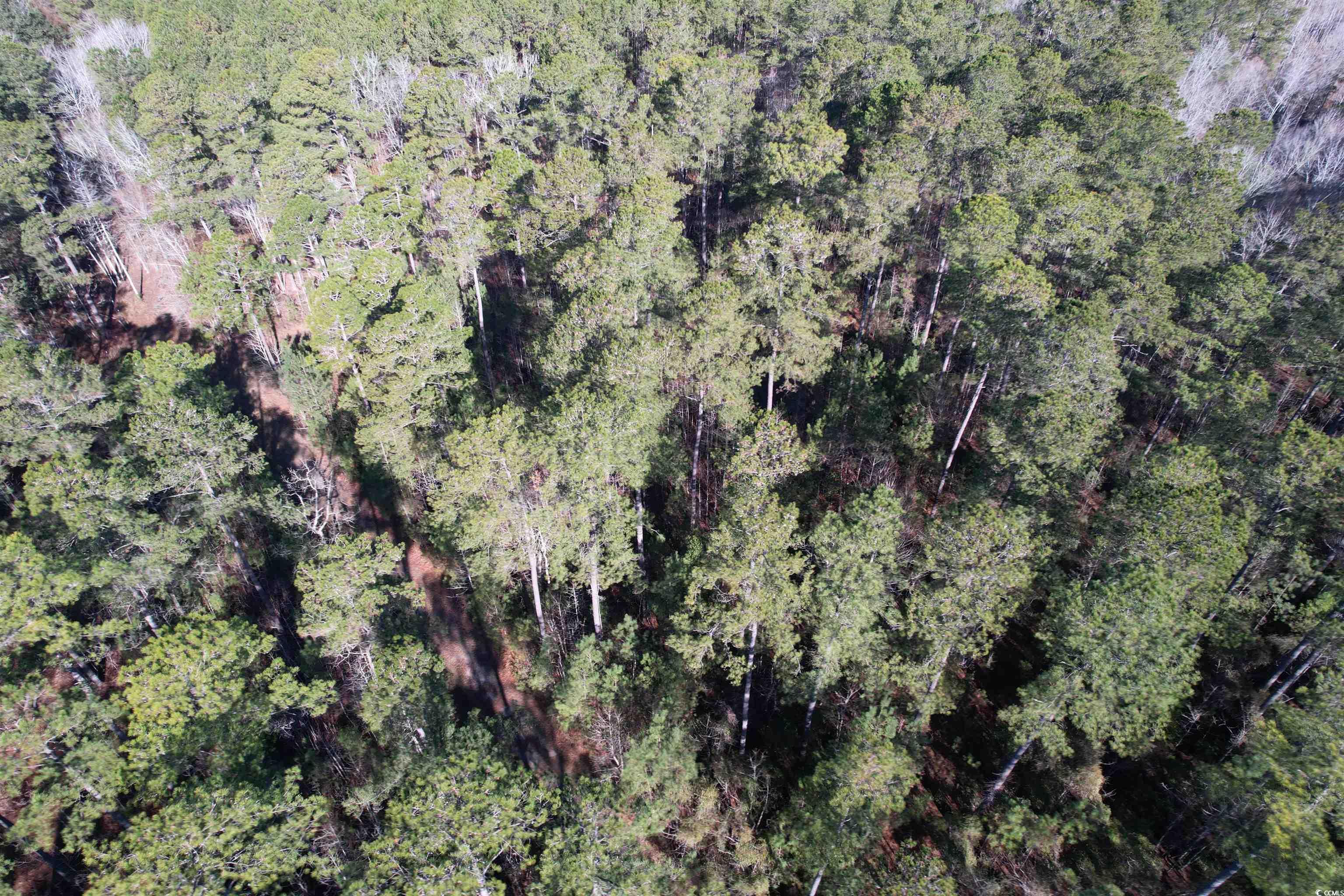 Tbd Highway 521 Property Photo 34