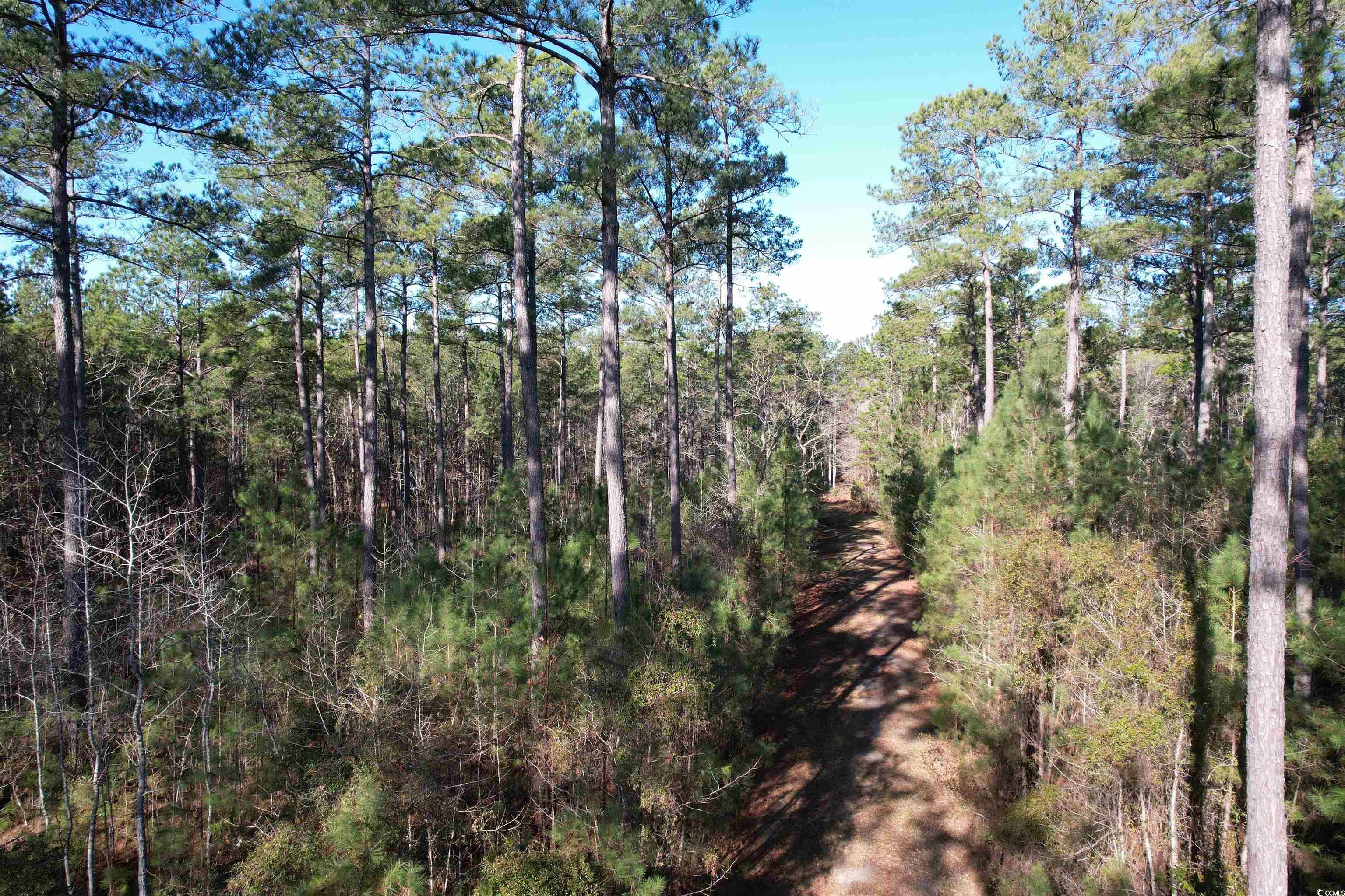Tbd Highway 521 Property Photo 35