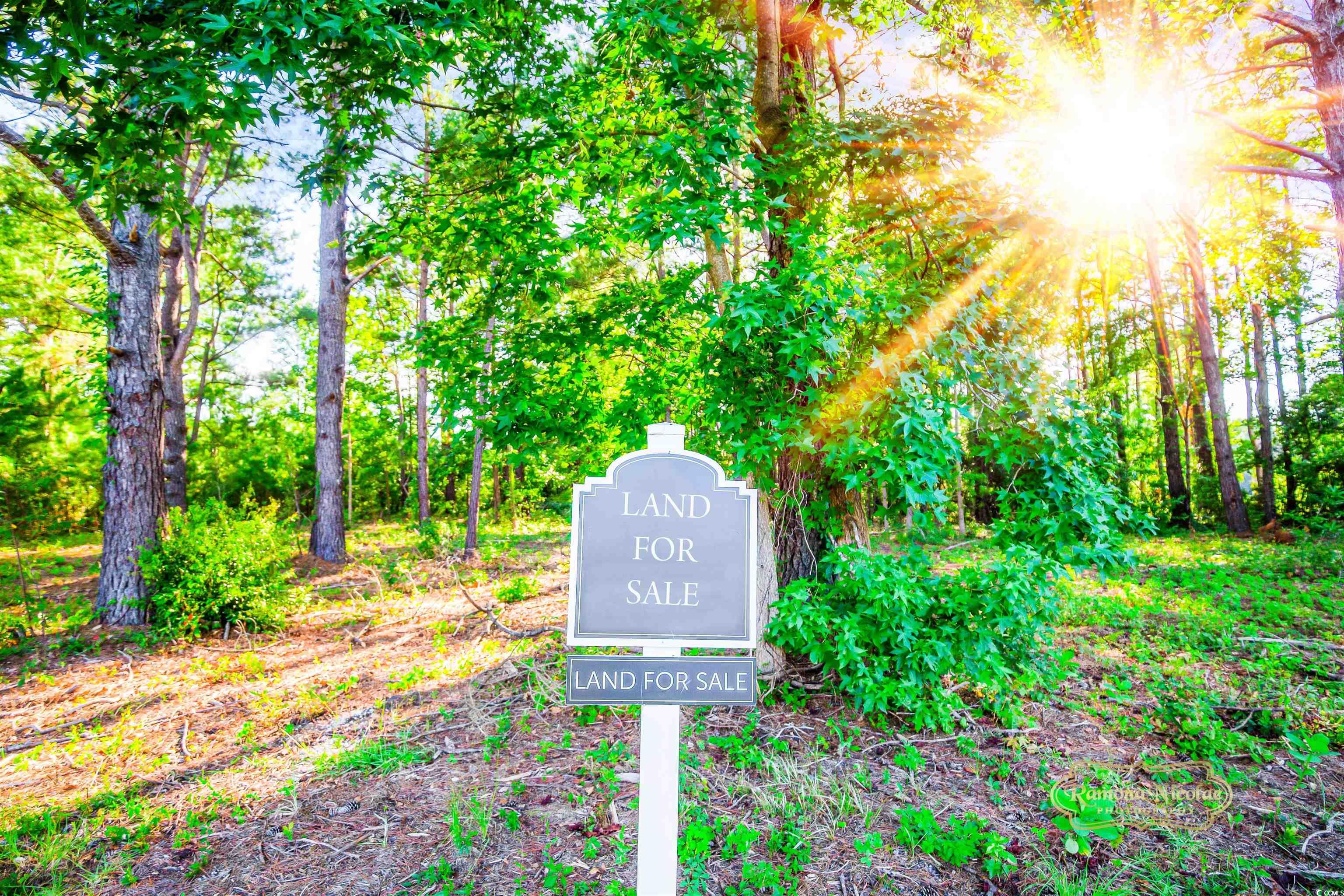1009 Happy Ln. Property Photo 1