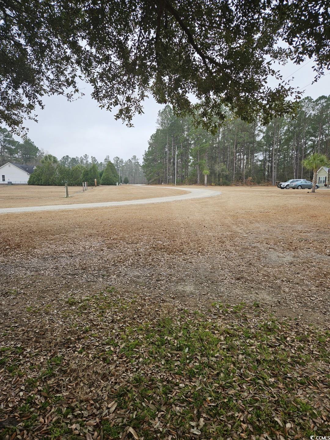 1009 Happy Ln. Property Photo 6