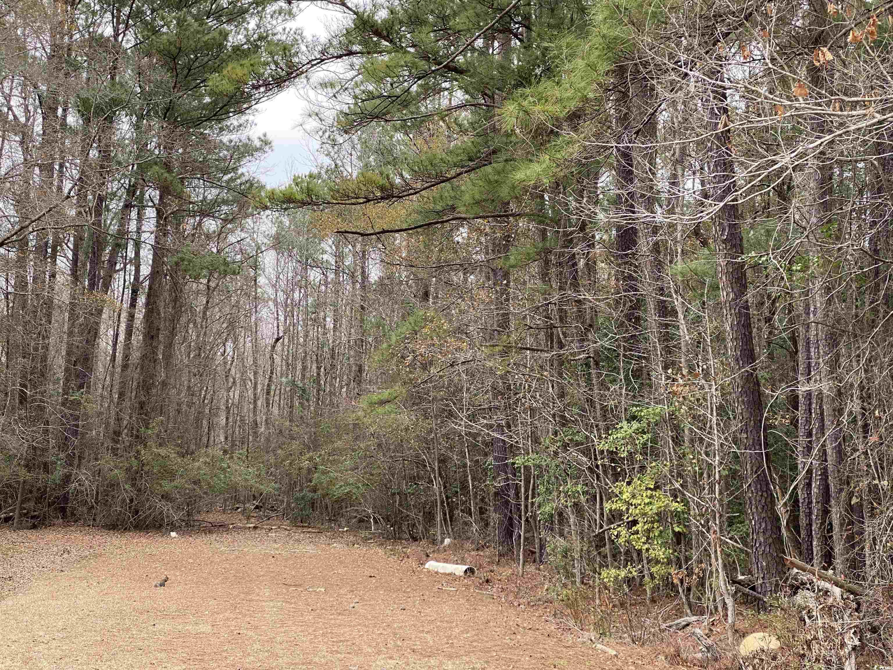 Tbd Rocky Ln. Property Photo 2