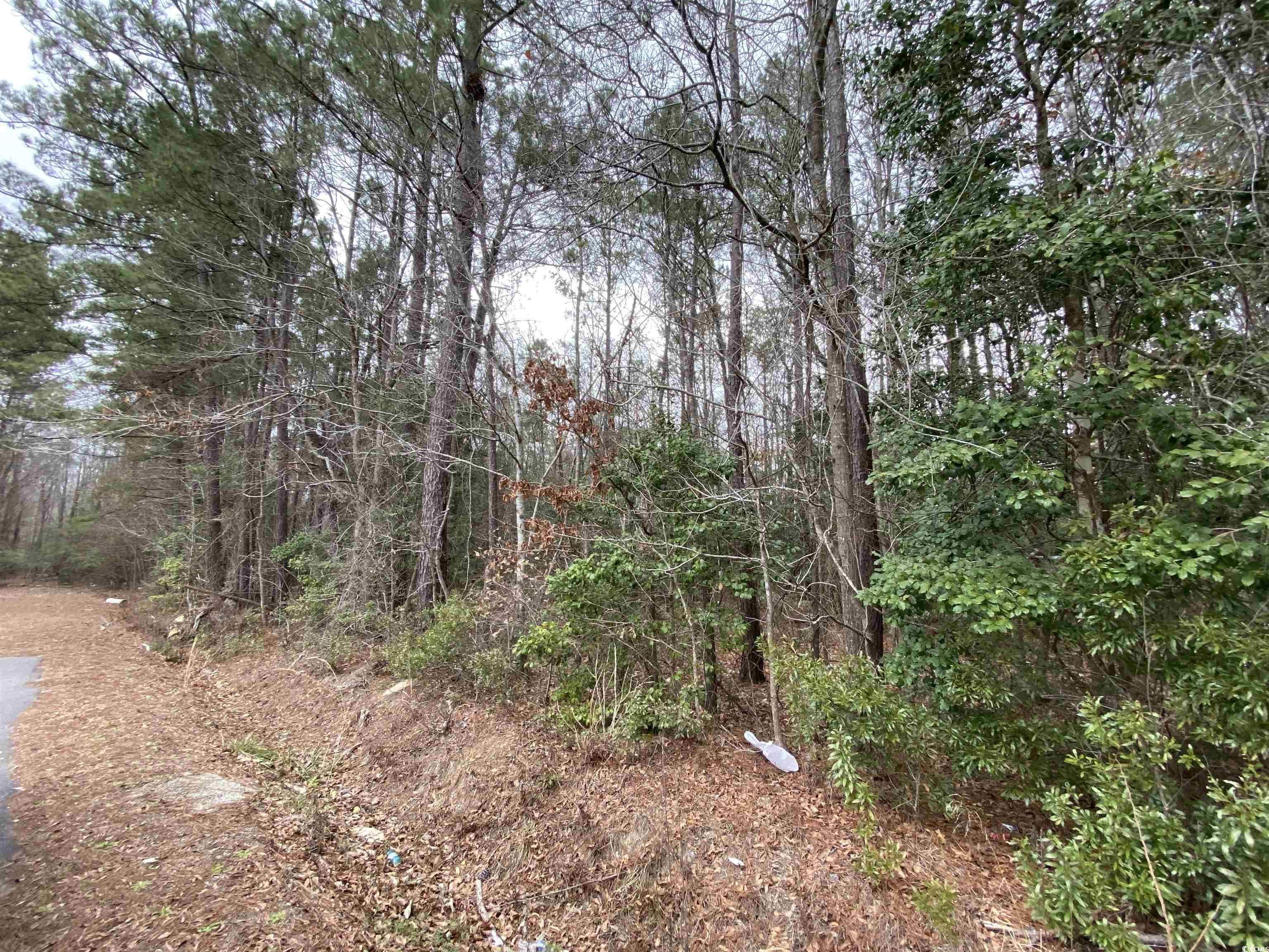 Tbd Rocky Ln. Property Photo 3