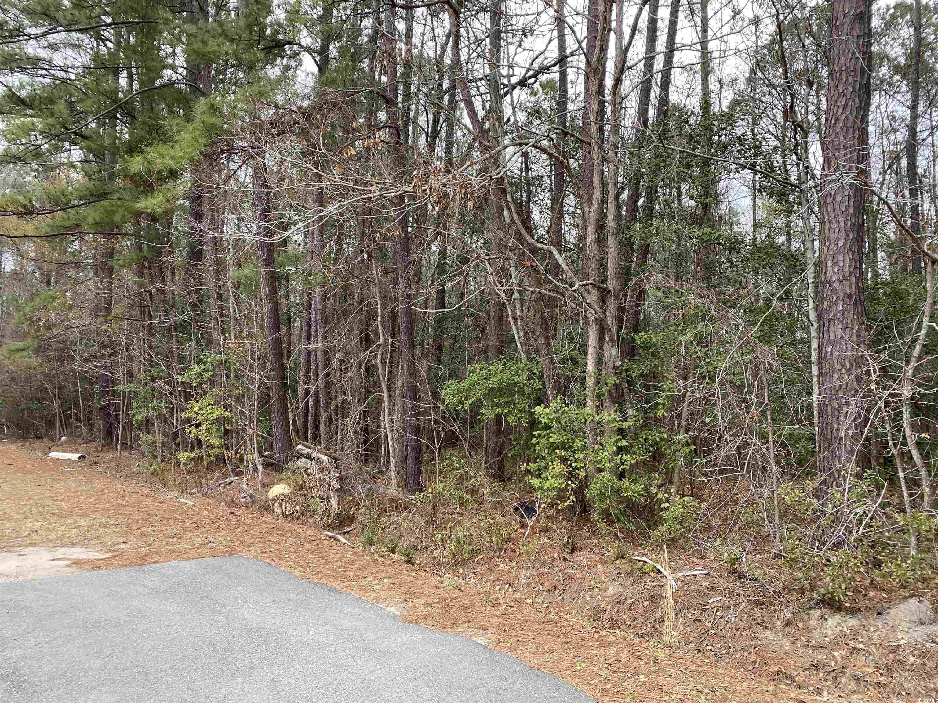 Tbd Rocky Ln. Property Photo 4