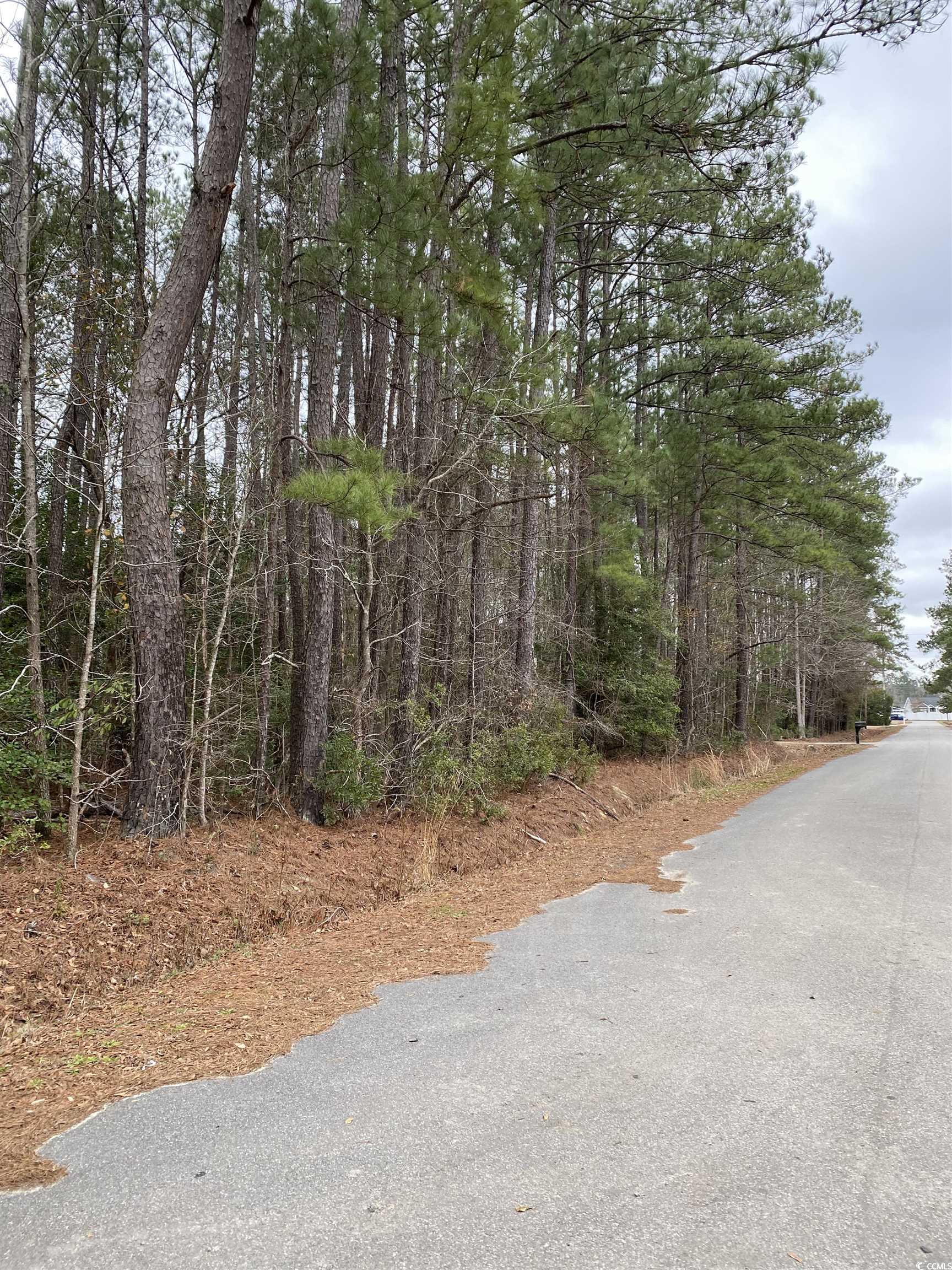 Tbd Rocky Ln. Property Photo 6