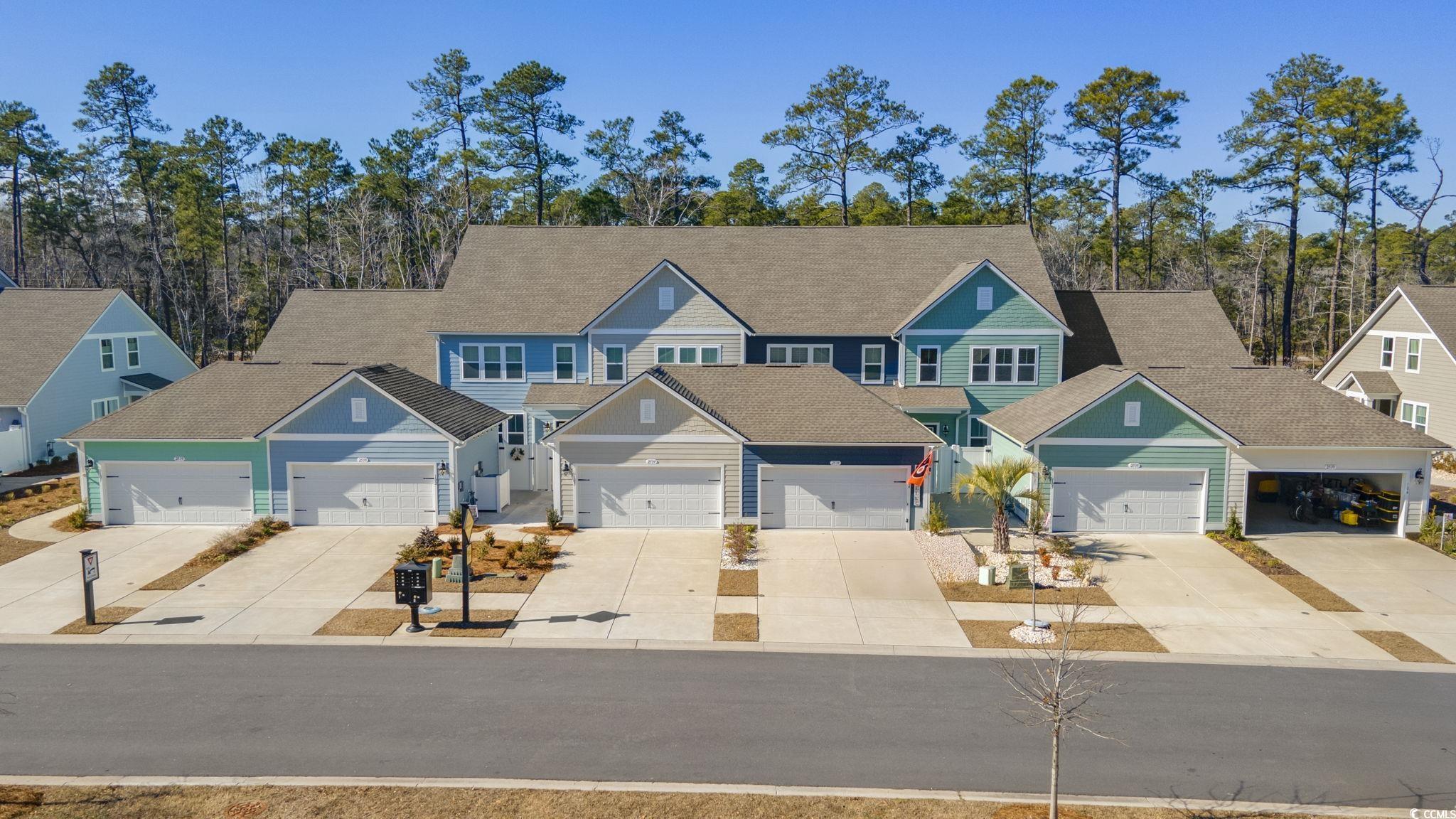 2539 Blue Crane Circle Property Photo 3