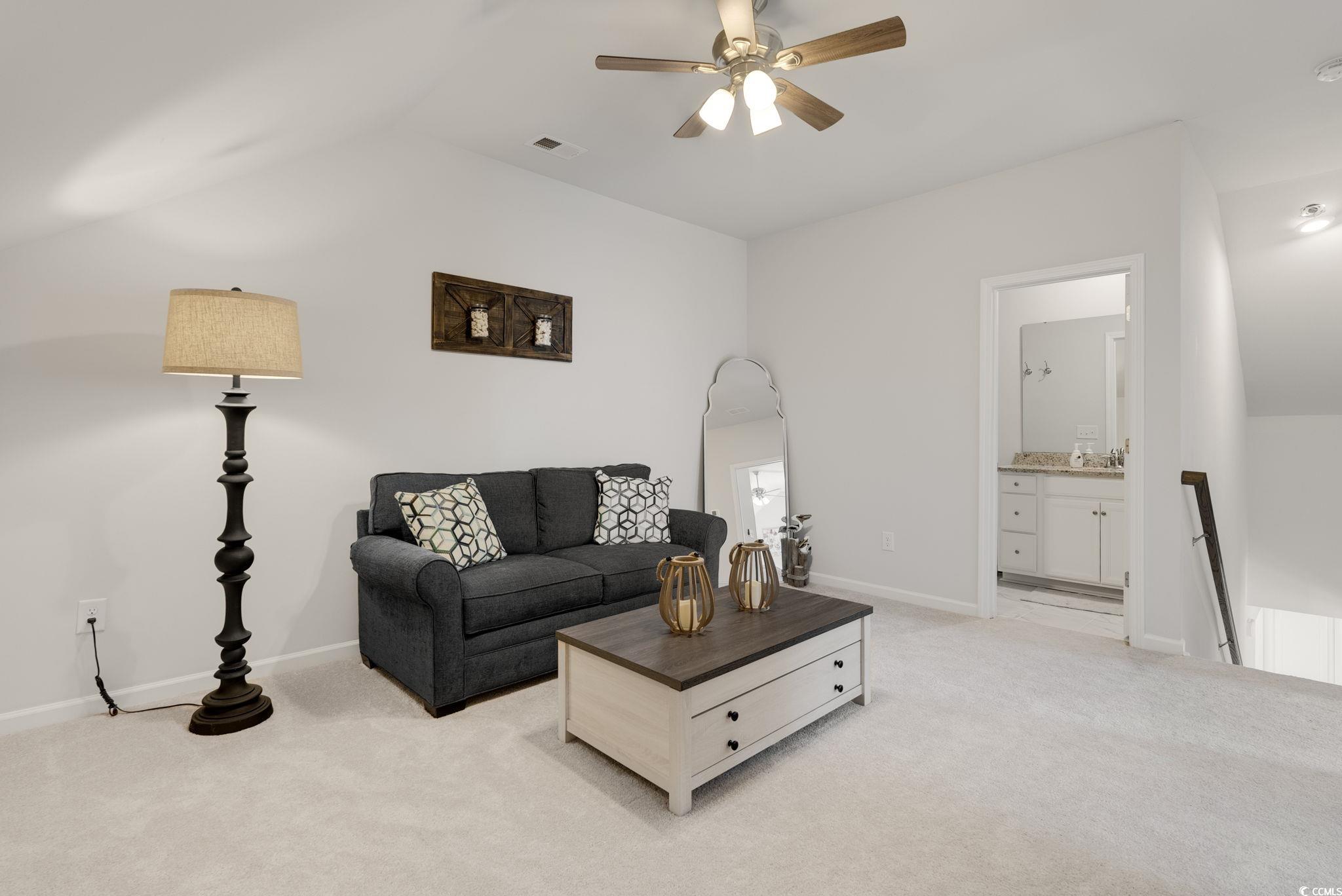 2539 Blue Crane Circle Property Photo 30