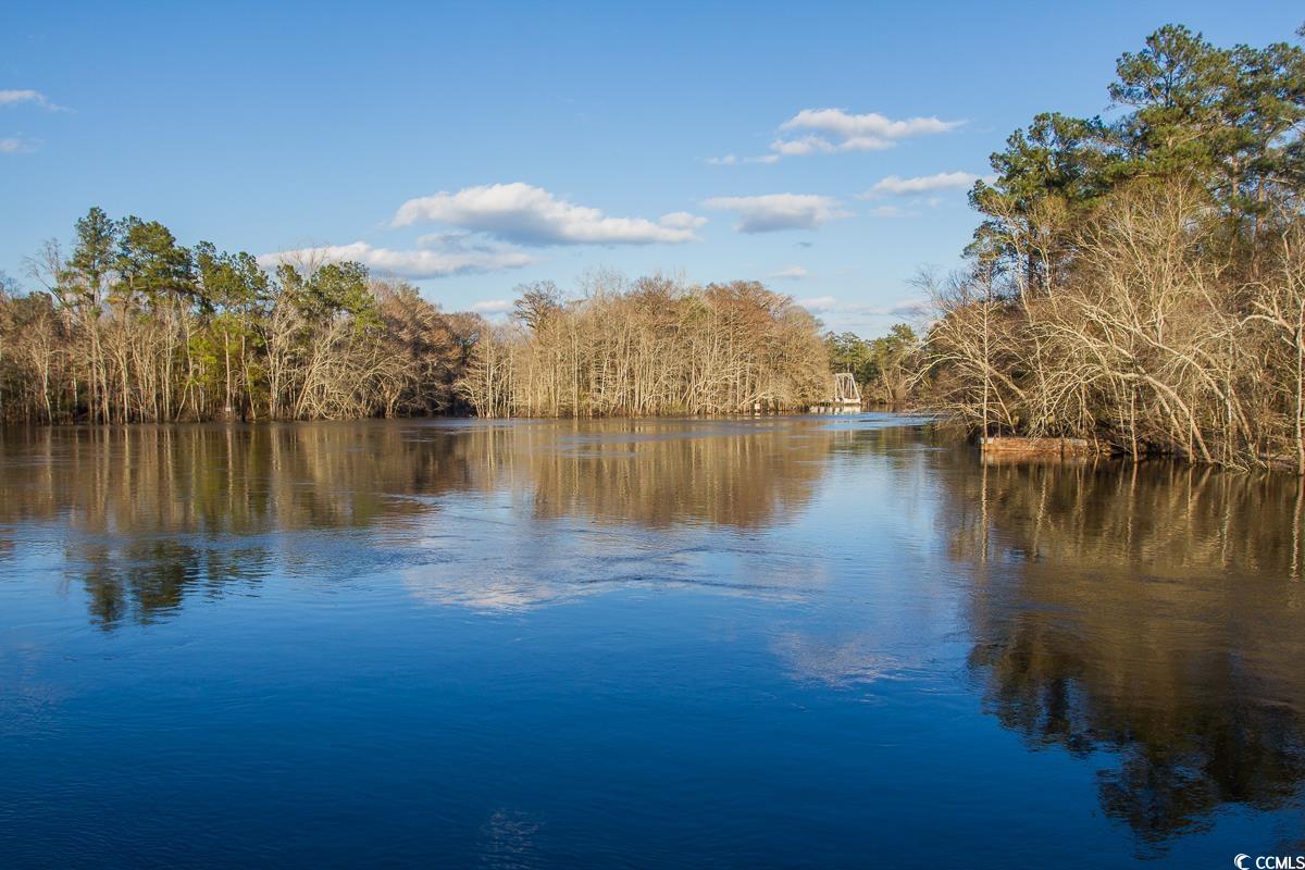 559 Courtridge Loop Property Photo 35