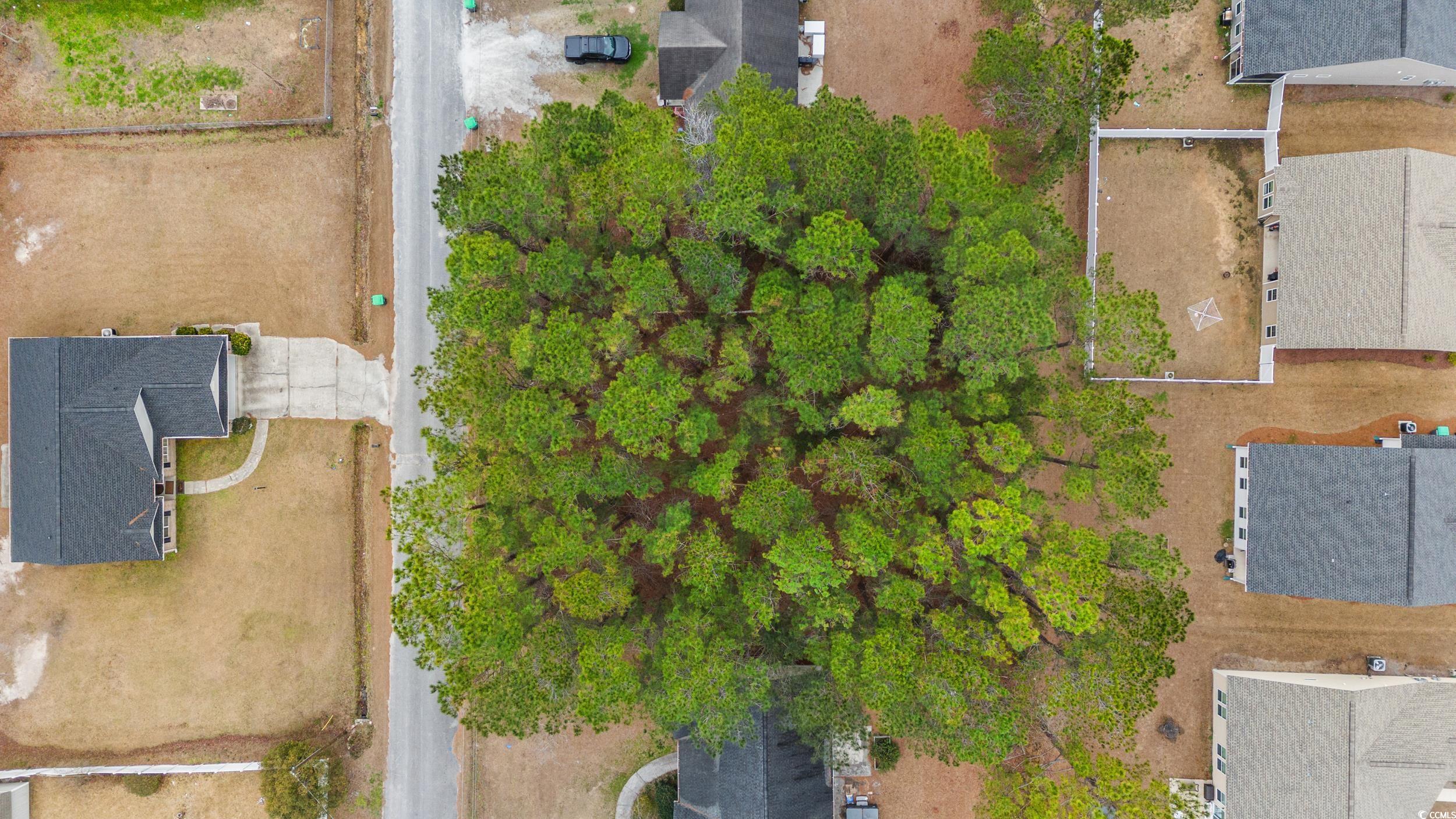 3435 Spivey St. Property Photo 5