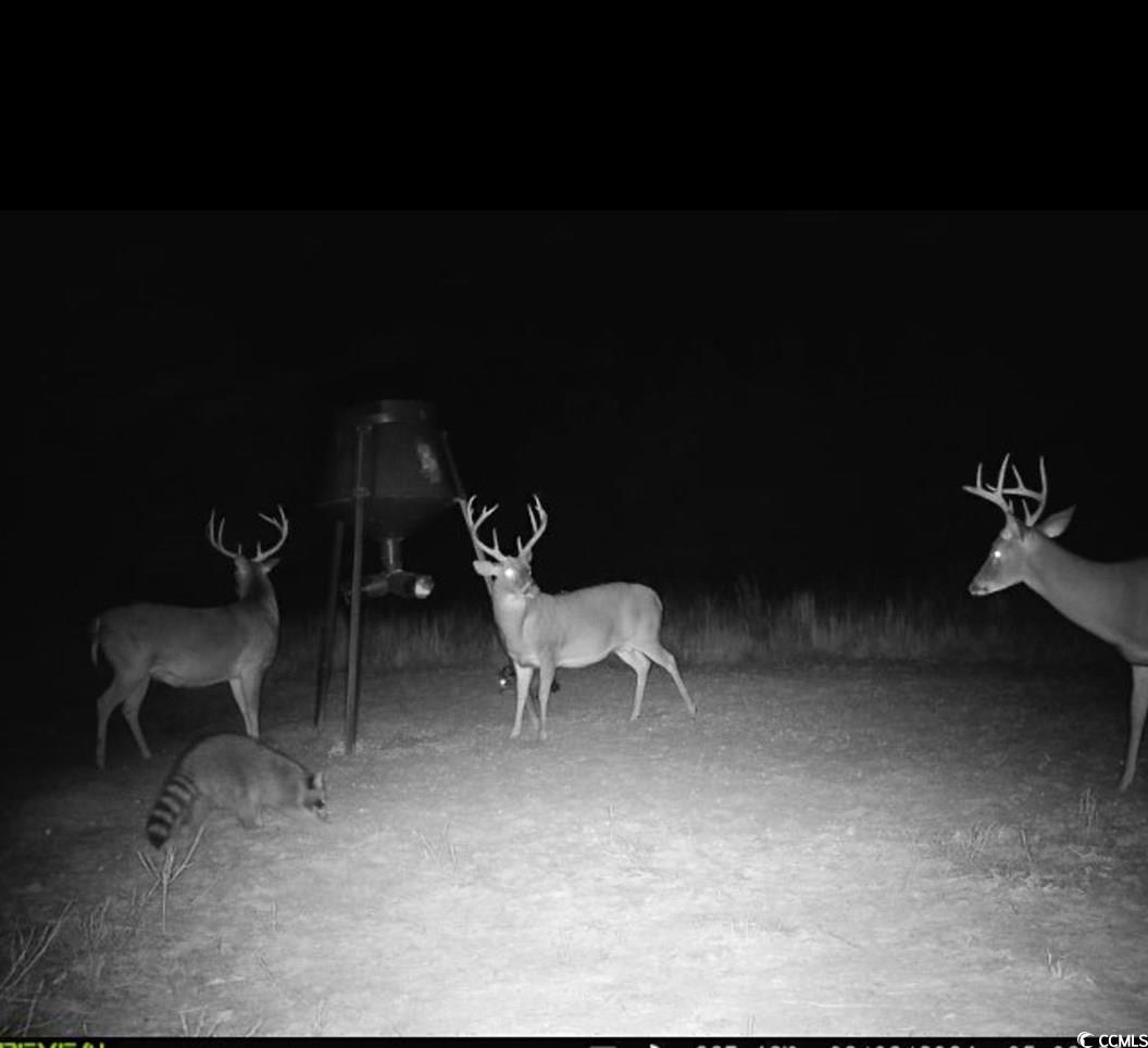 Nesmith Rd. Property Photo 5