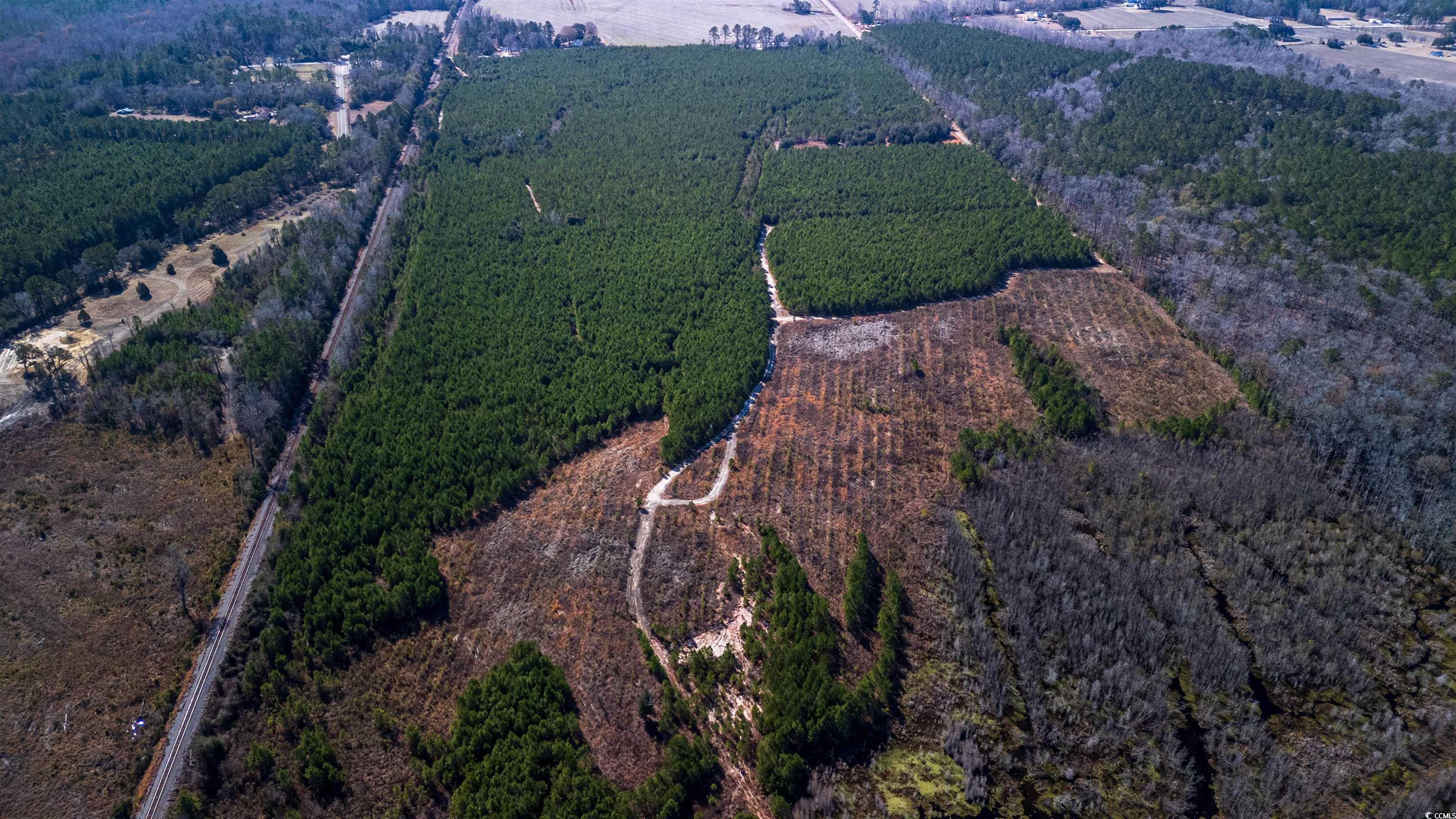 Nesmith Rd. Property Photo 13