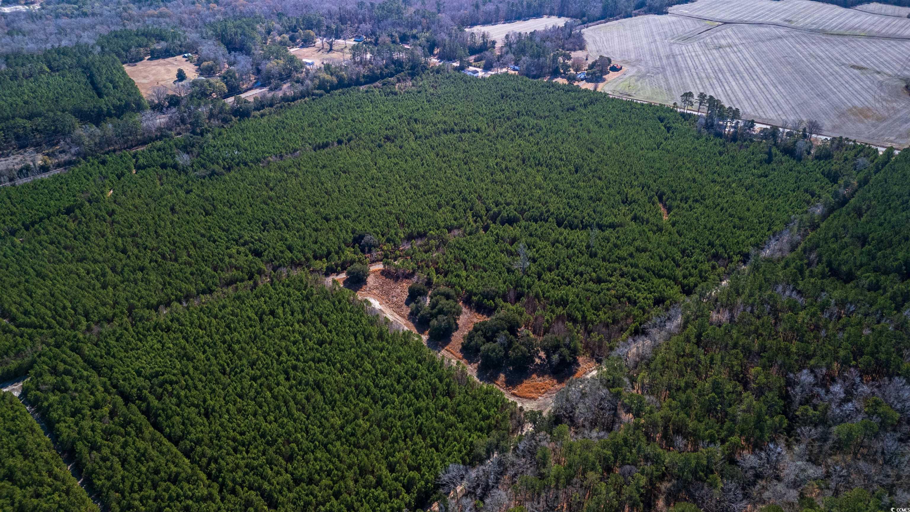 Nesmith Rd. Property Photo 18