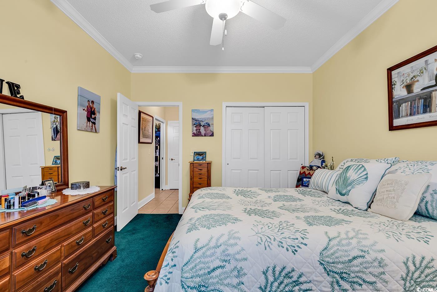 537 Sand Ridge Rd. Property Photo 7