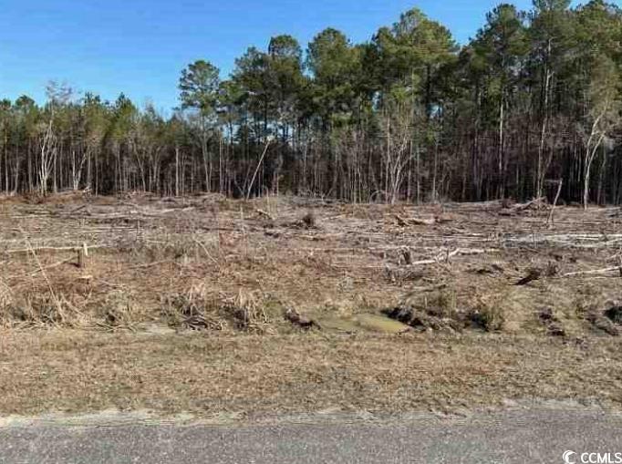 Tract F Earl Rd. Property Photo 3