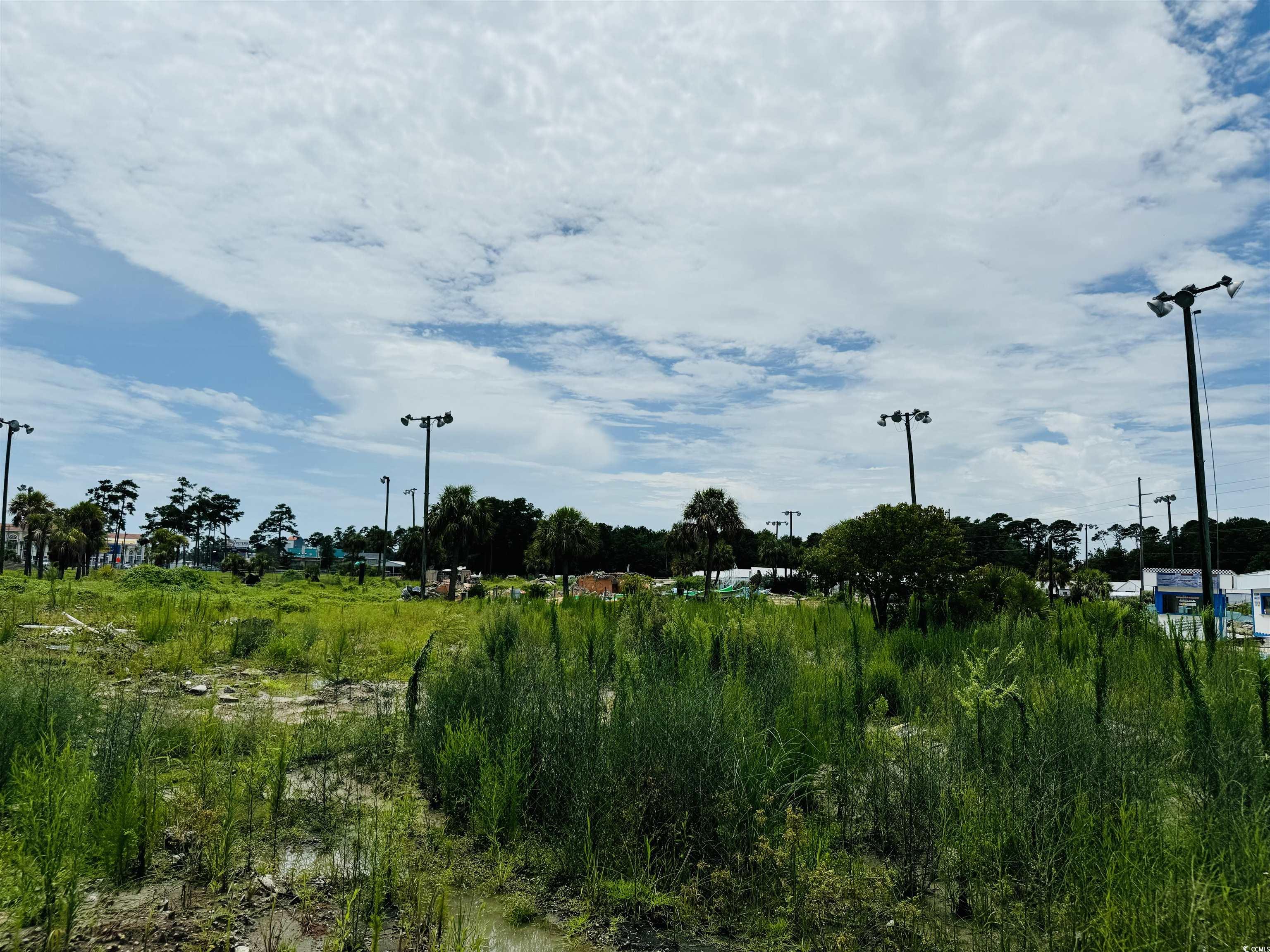 910 Highway 17 Business Property Photo 19
