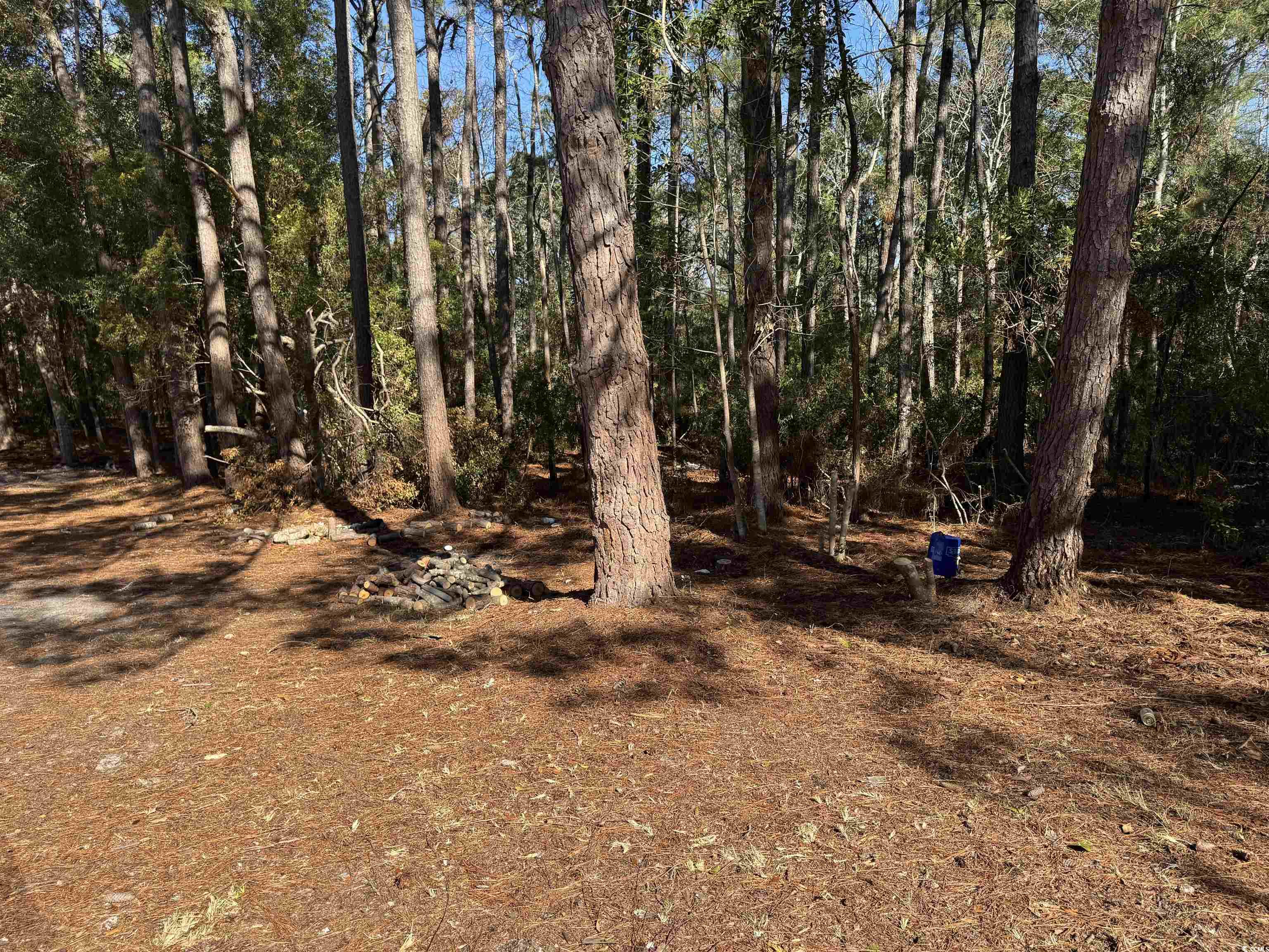 4757 Little River Neck Rd. Property Photo 24