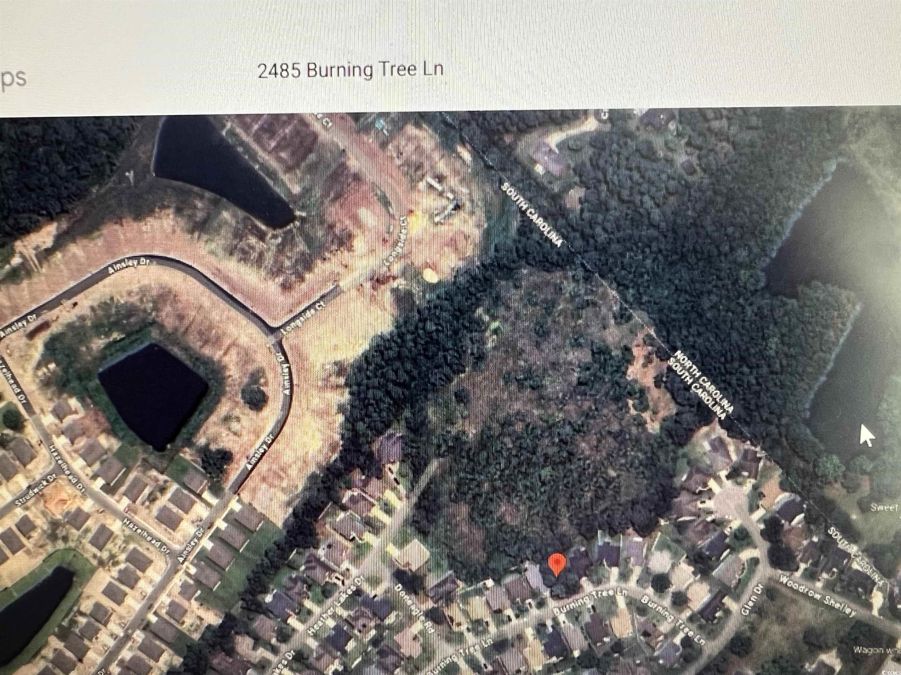 2485 Burning Tree Ln. Property Photo 6