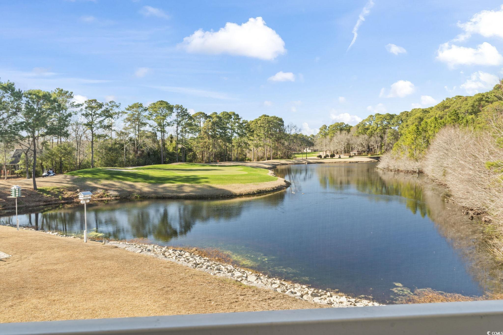 131 Greenside Villas Dr. Property Photo 4