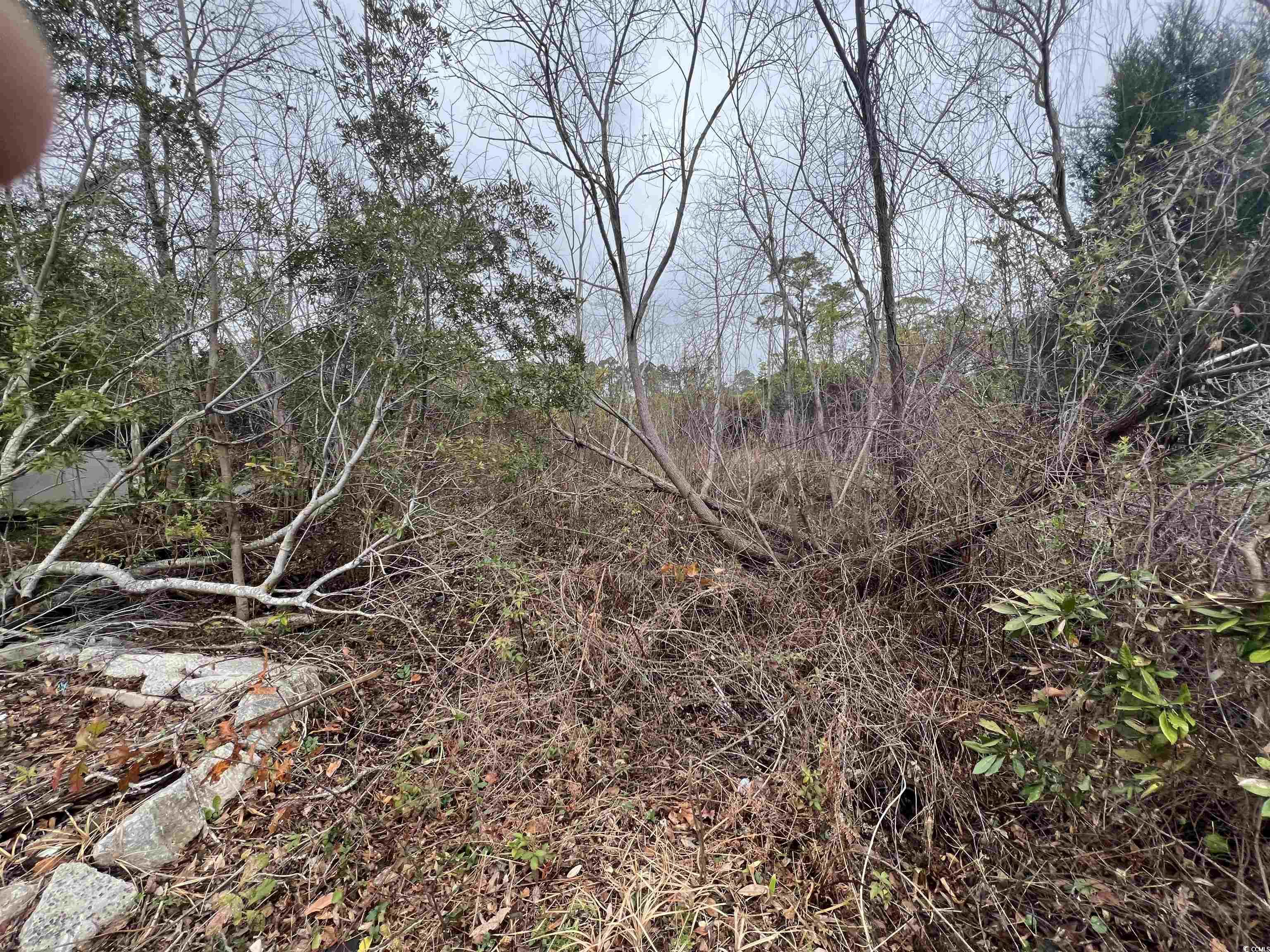 Tbd Heather Lakes Dr. Property Photo 2