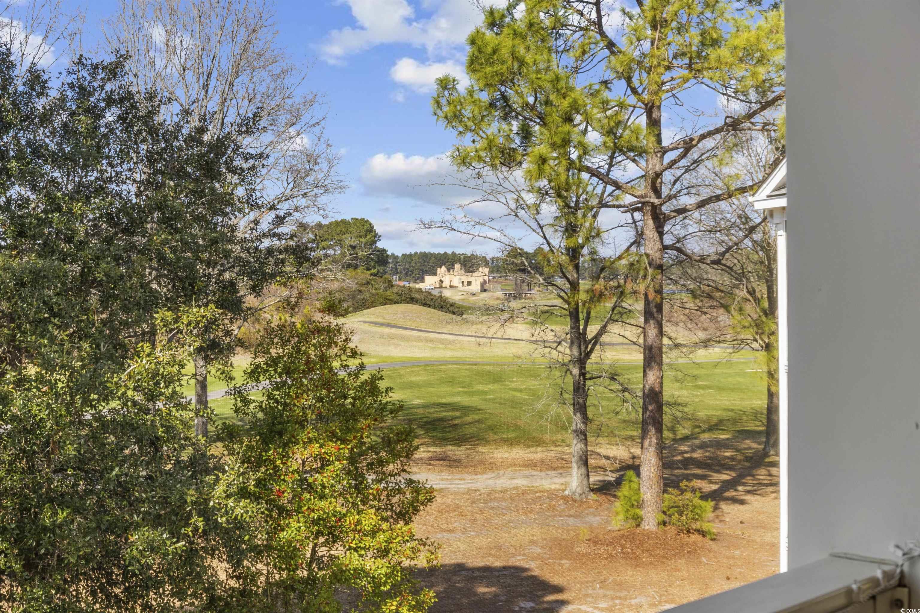 5060 Windsor Green Way Property Photo 21