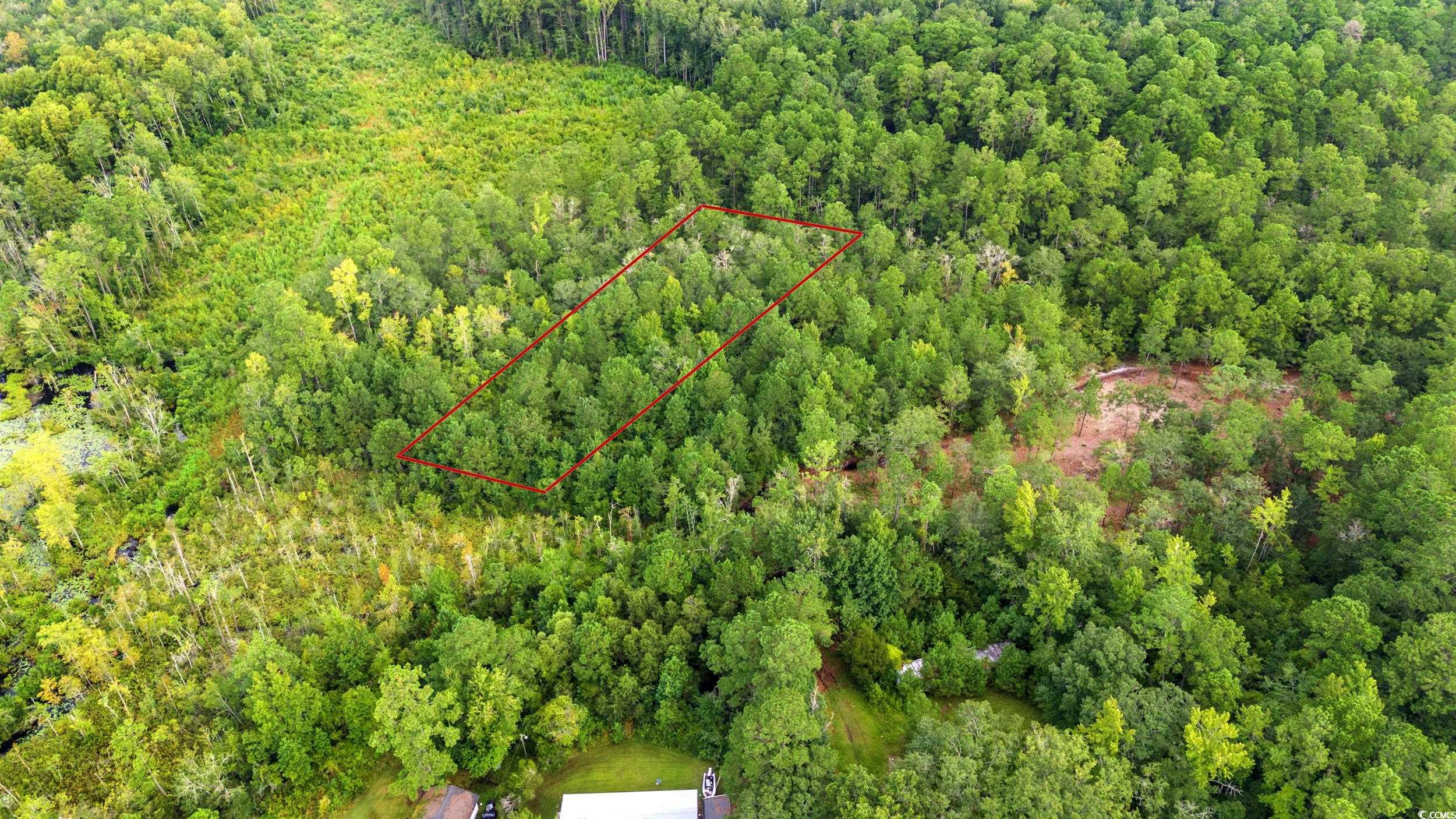 Tbd Mill Swamp Rd. Property Photo 4