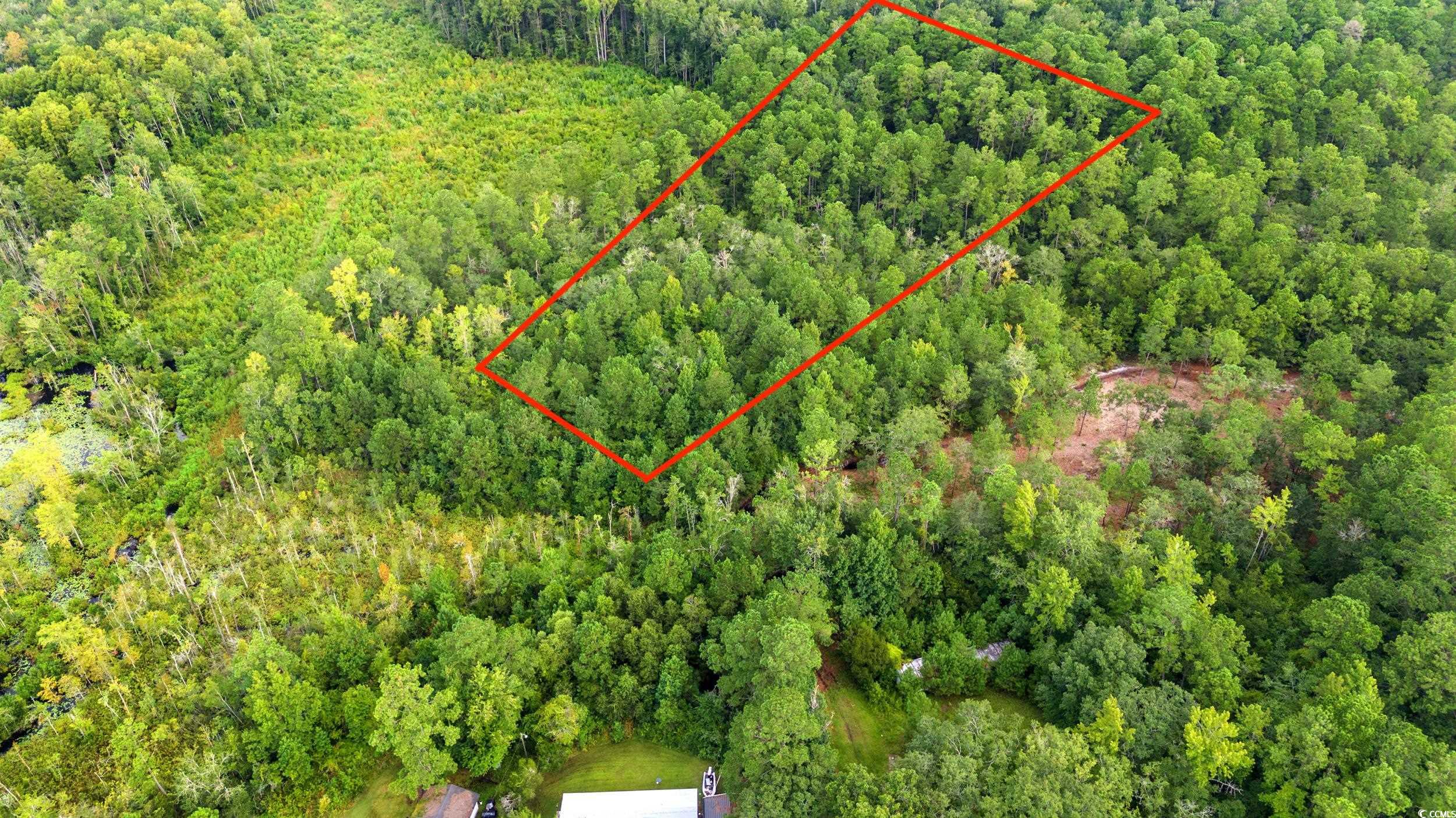 Tbd Mill Swamp Rd. Property Photo 5
