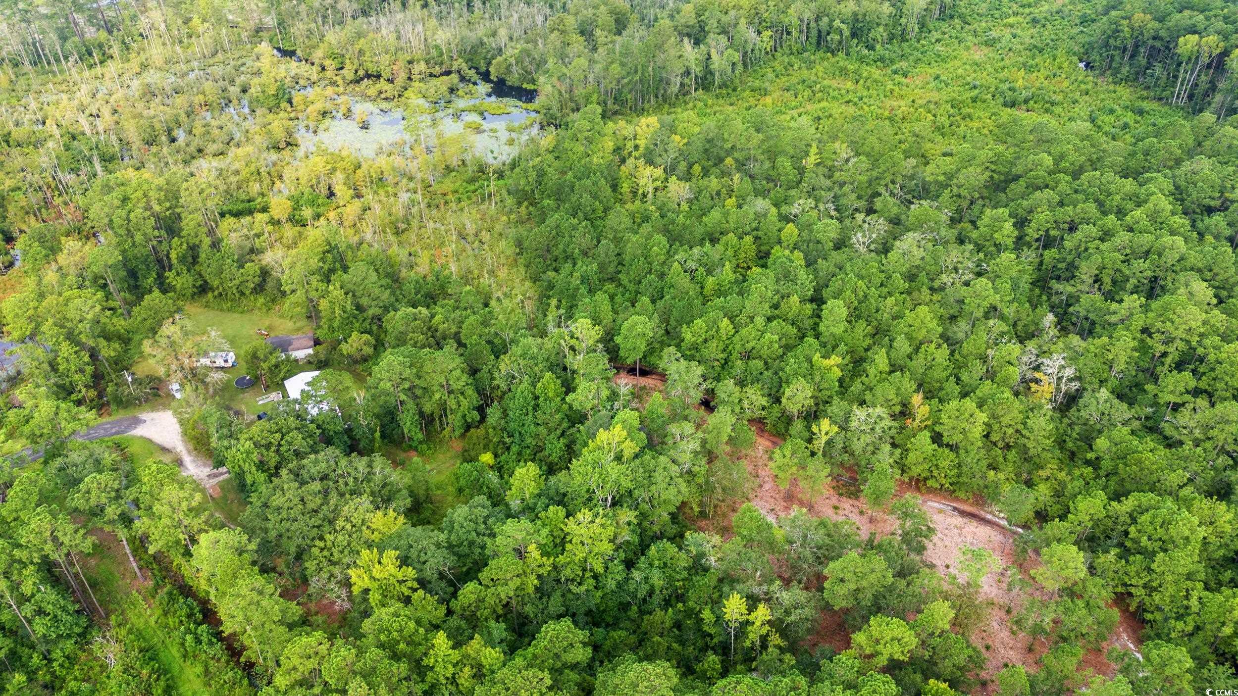 Tbd Mill Swamp Rd. Property Photo 6