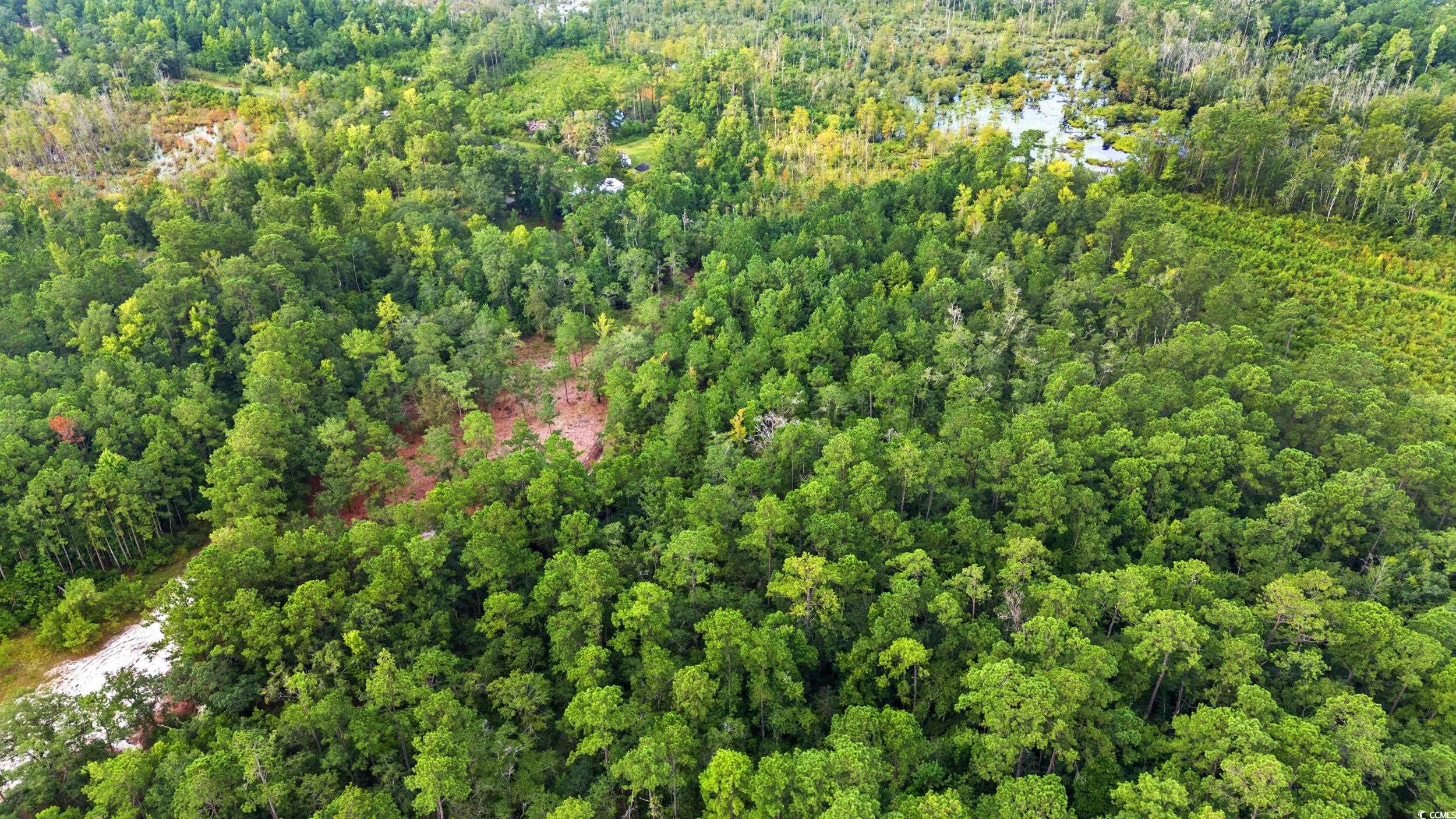 Tbd Mill Swamp Rd. Property Photo 7
