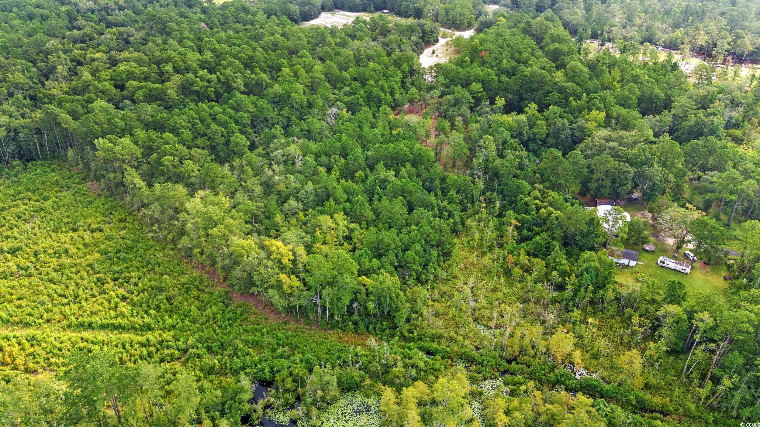 Tbd Mill Swamp Rd. Property Photo 8