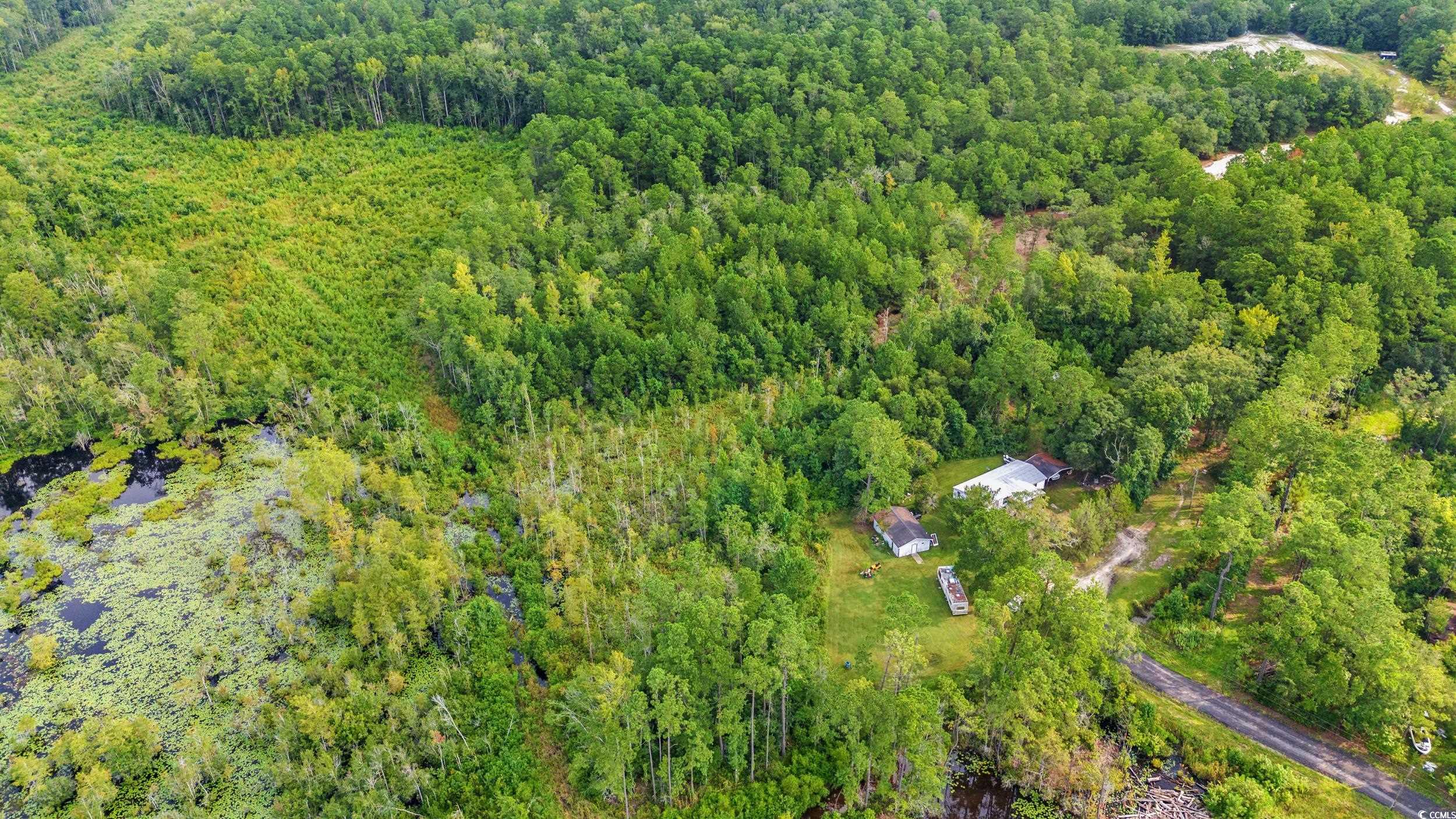 Tbd Mill Swamp Rd. Property Photo 9
