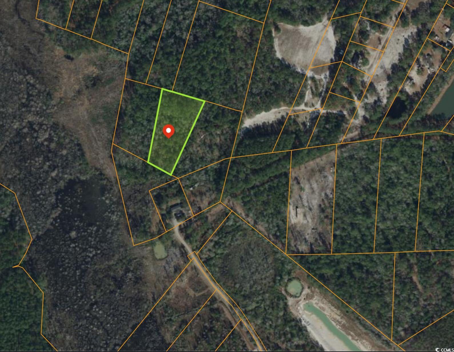 Tbd Mill Swamp Rd. Property Photo 10