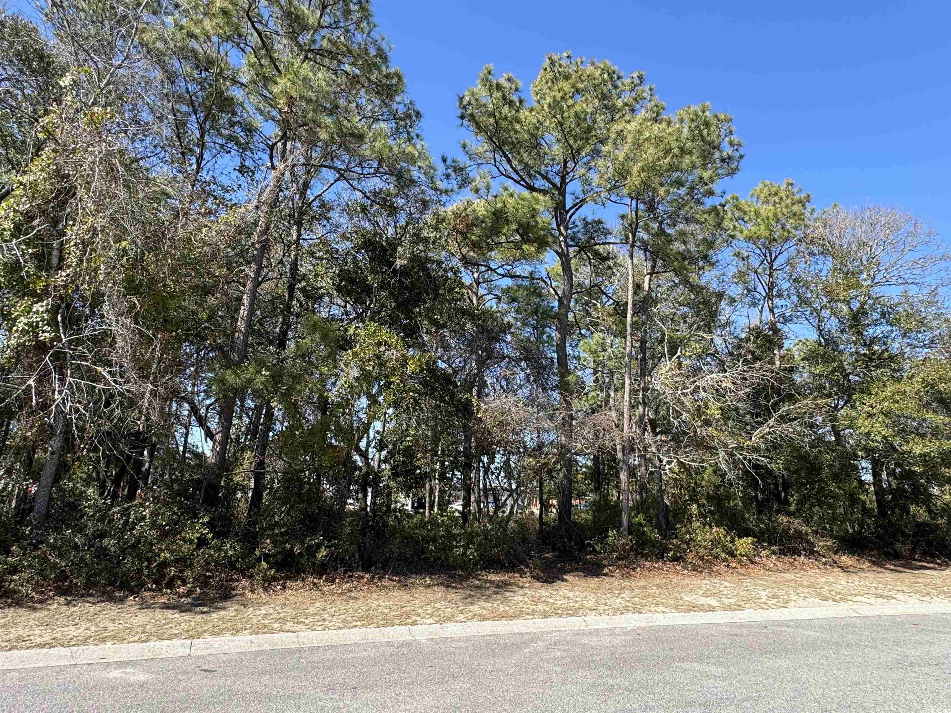 Lot B 1st Ave. S Property Photo
