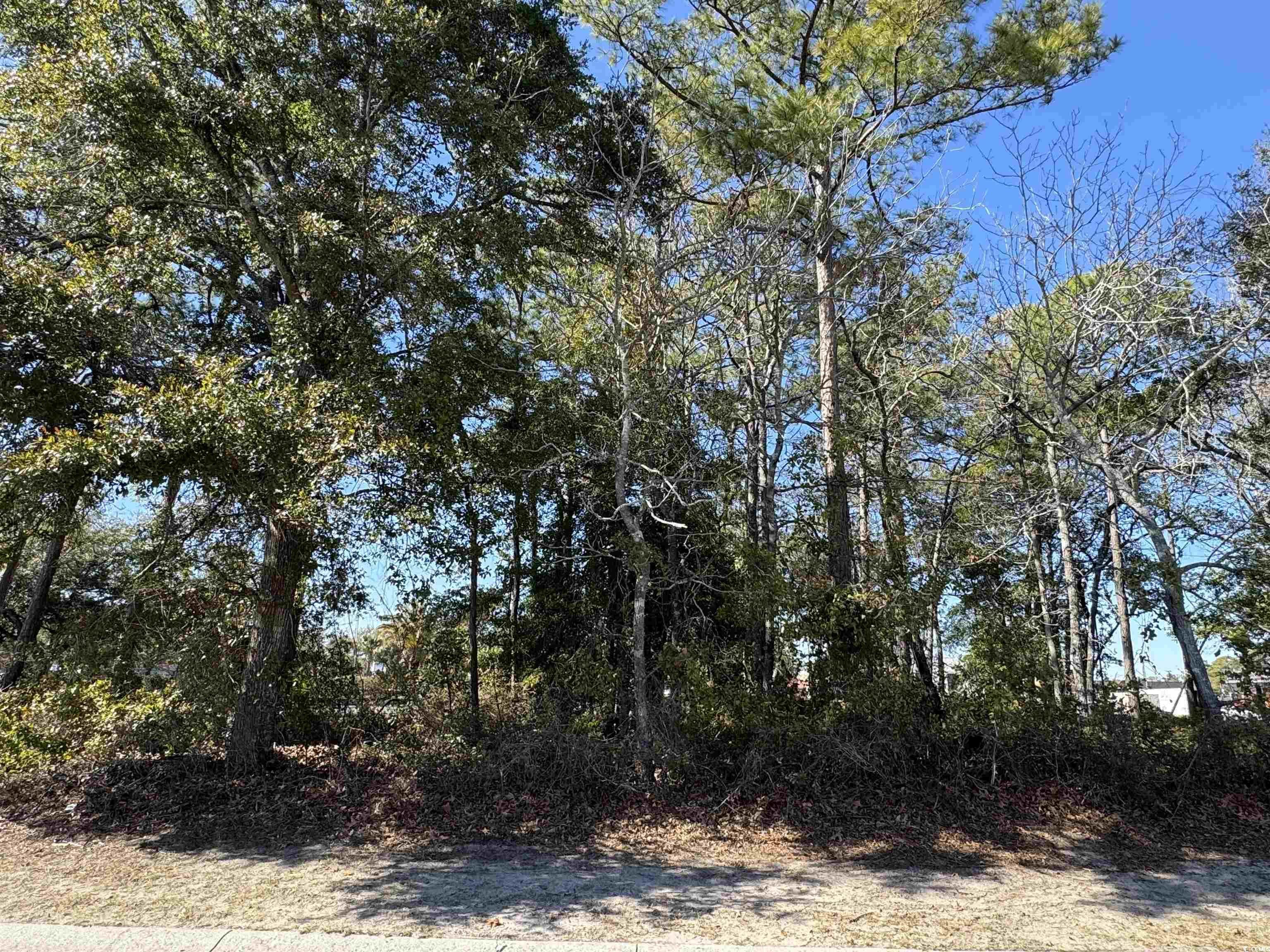 Lot A 1st Ave. S Property Photo