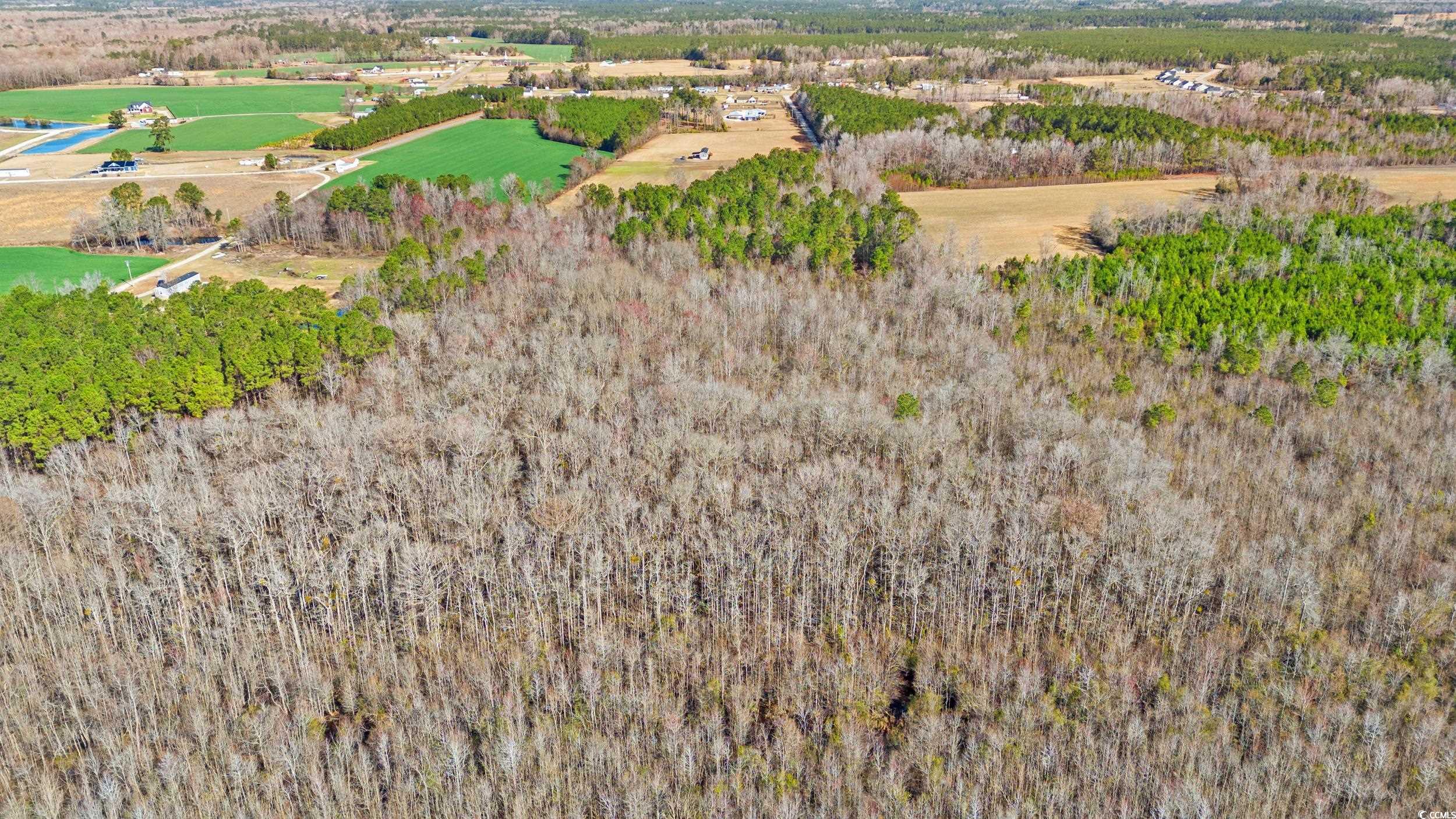 160 Joey Lane Property Photo 4