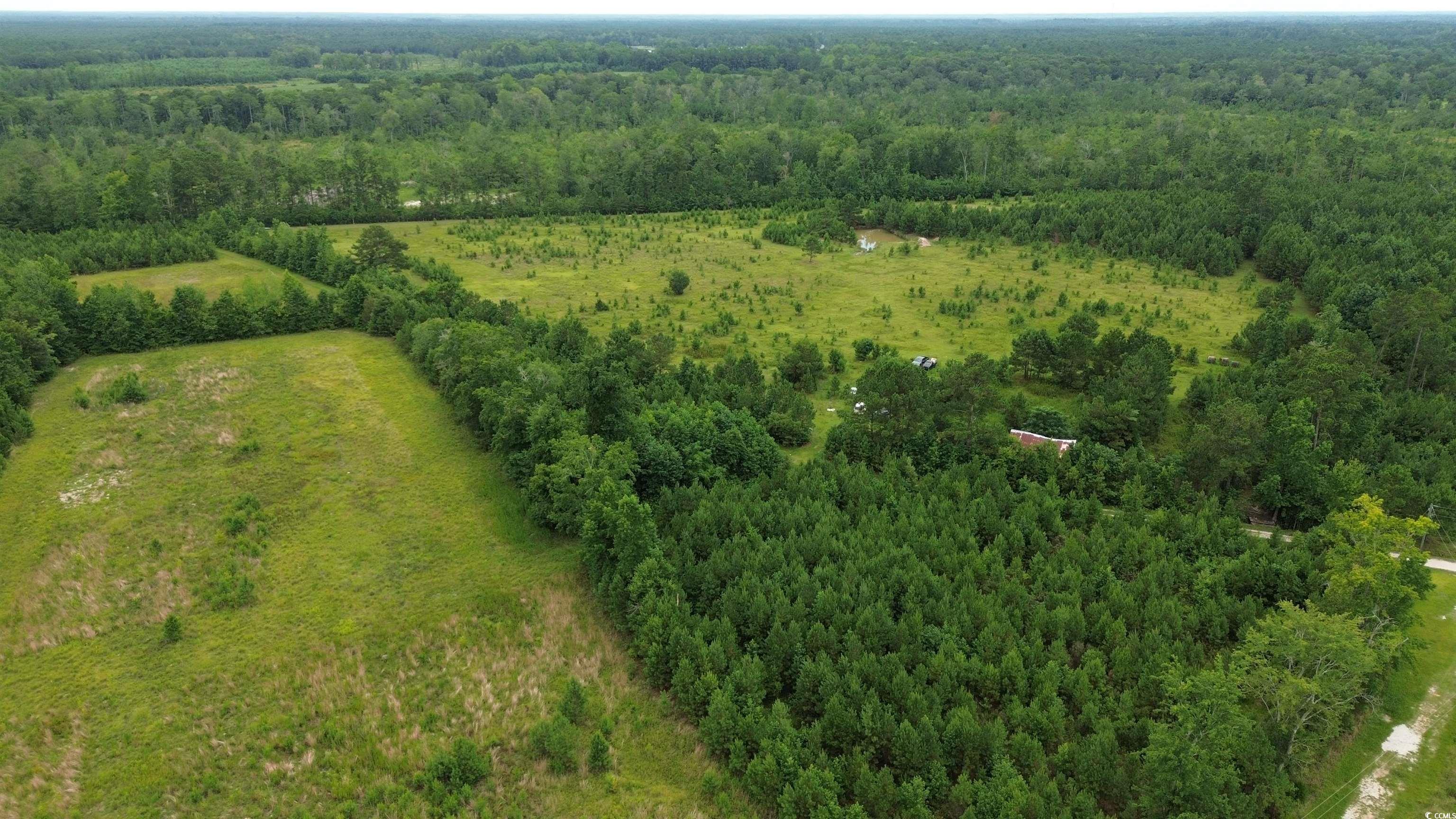 721 Old Buck Creek Rd. Property Photo 17