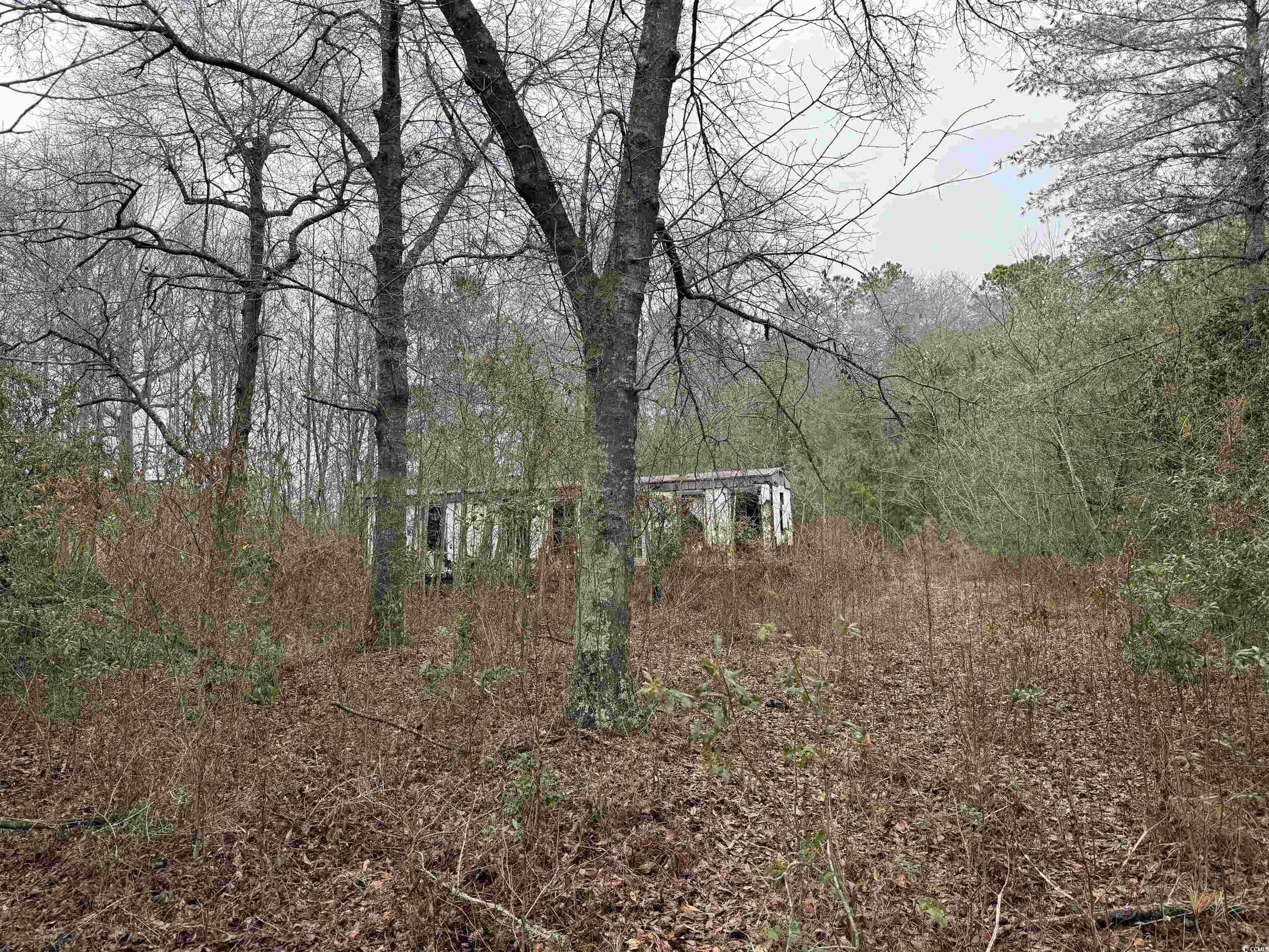 1060 Griffins Landing Rd. Property Photo