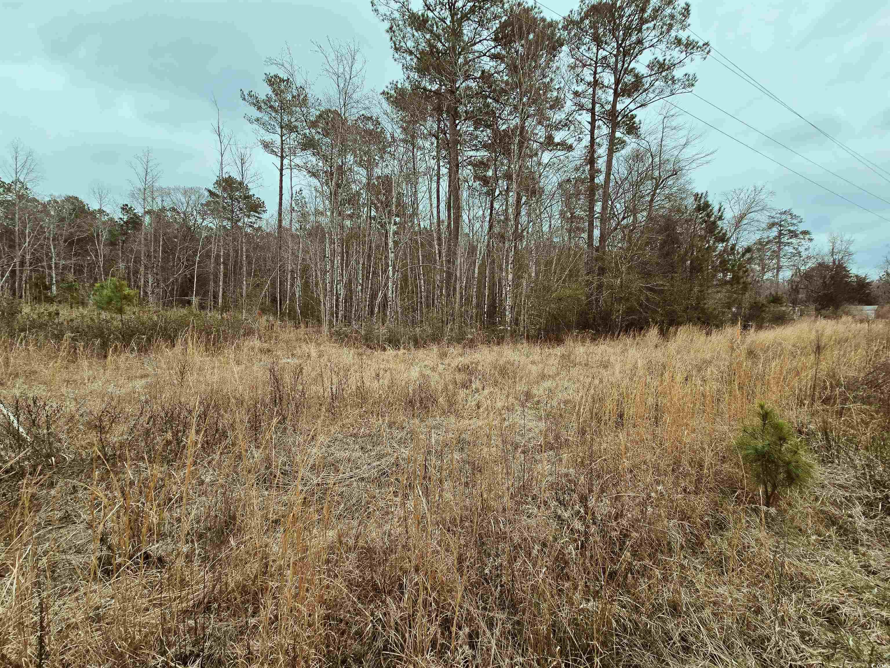 2250 Highway 66 Property Photo 1