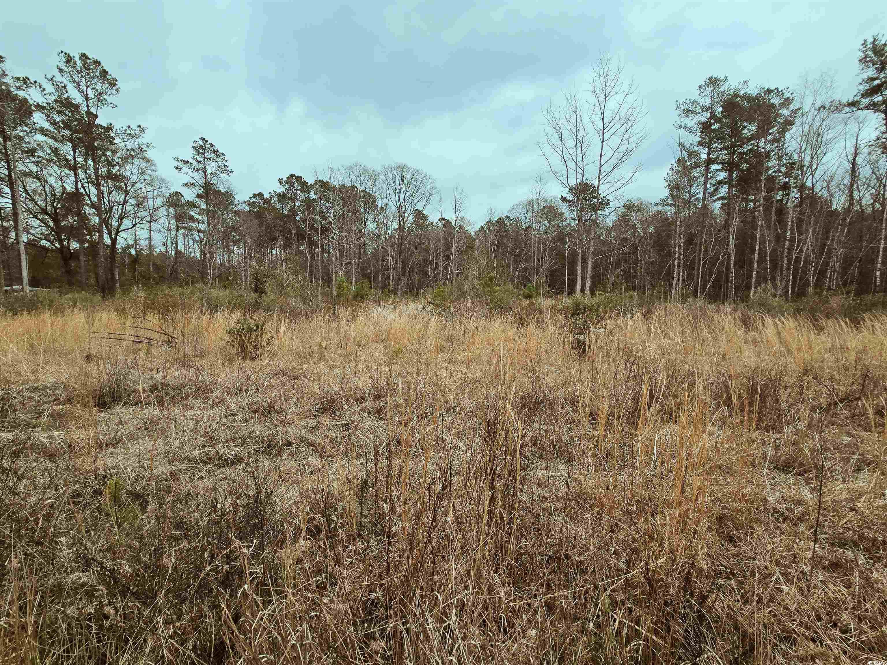 Tbd 4 Highway 66 Property Photo 1