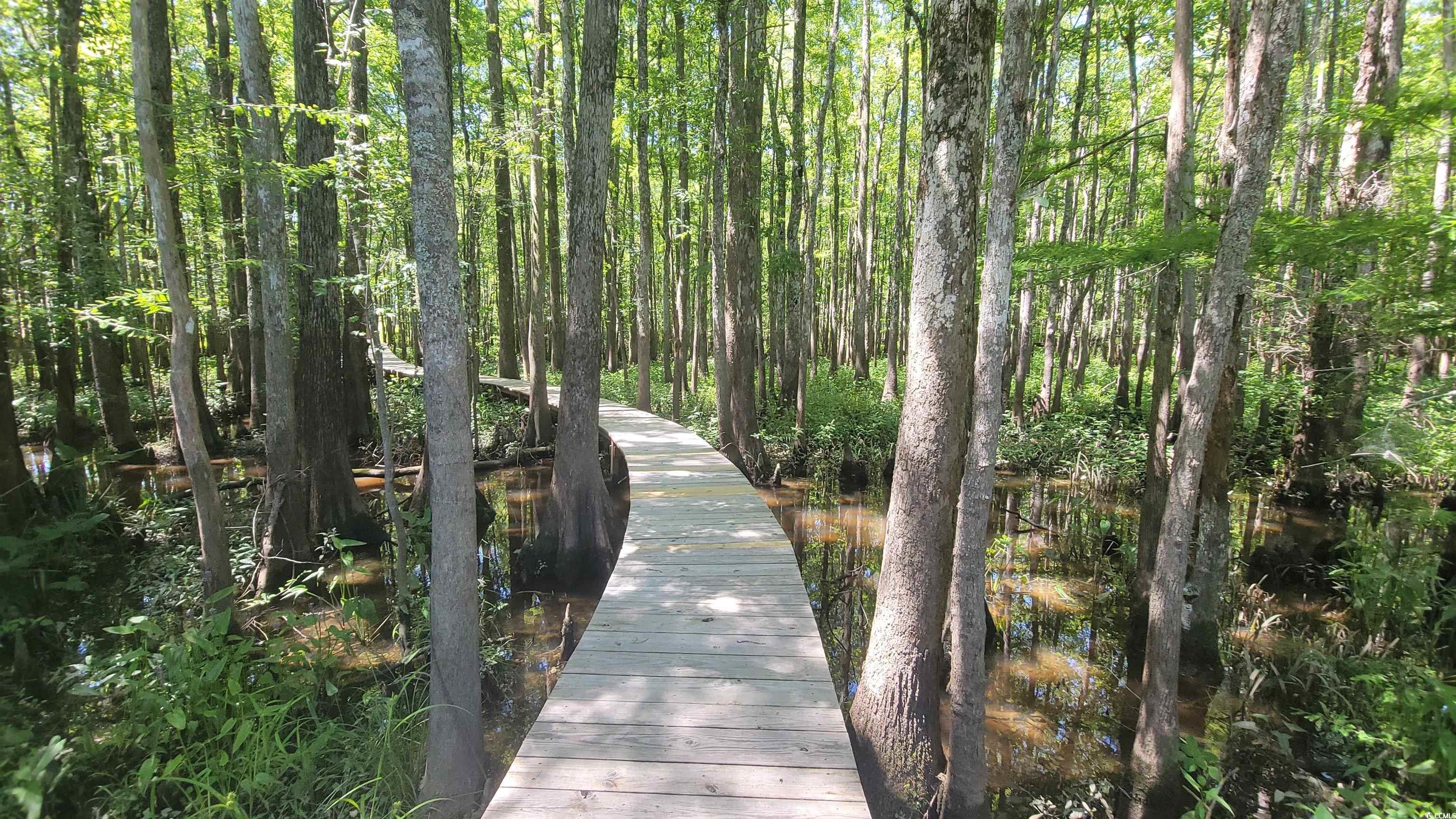 80 Stonington Dr. Property Photo 38