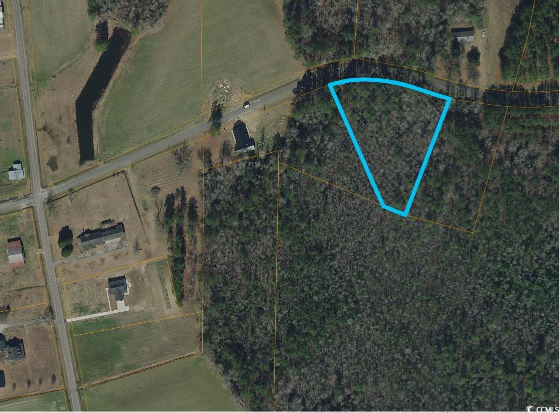 Tbd Long Branch Swamp Rd. Property Photo