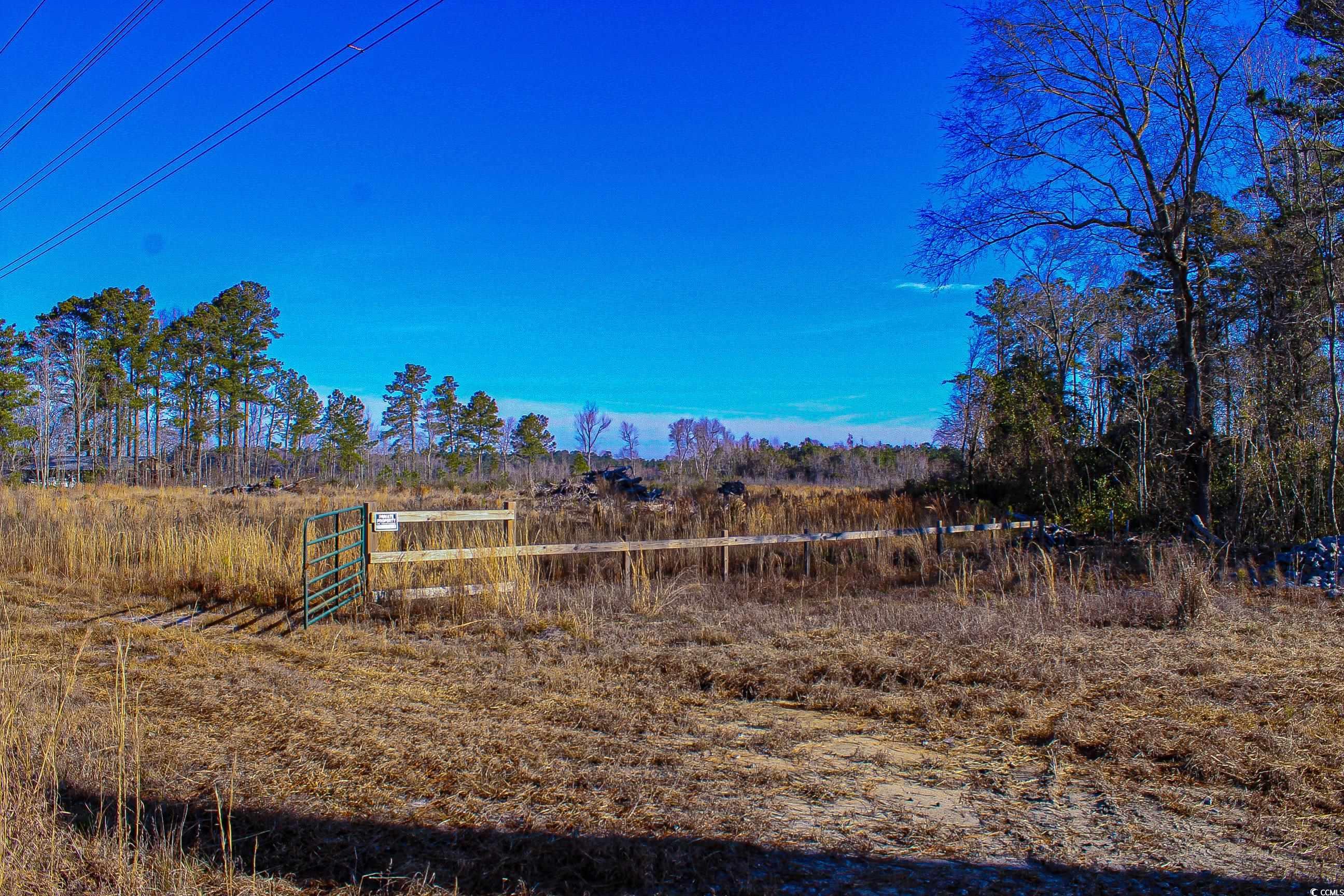 Tbd Penderboro Rd. Property Photo