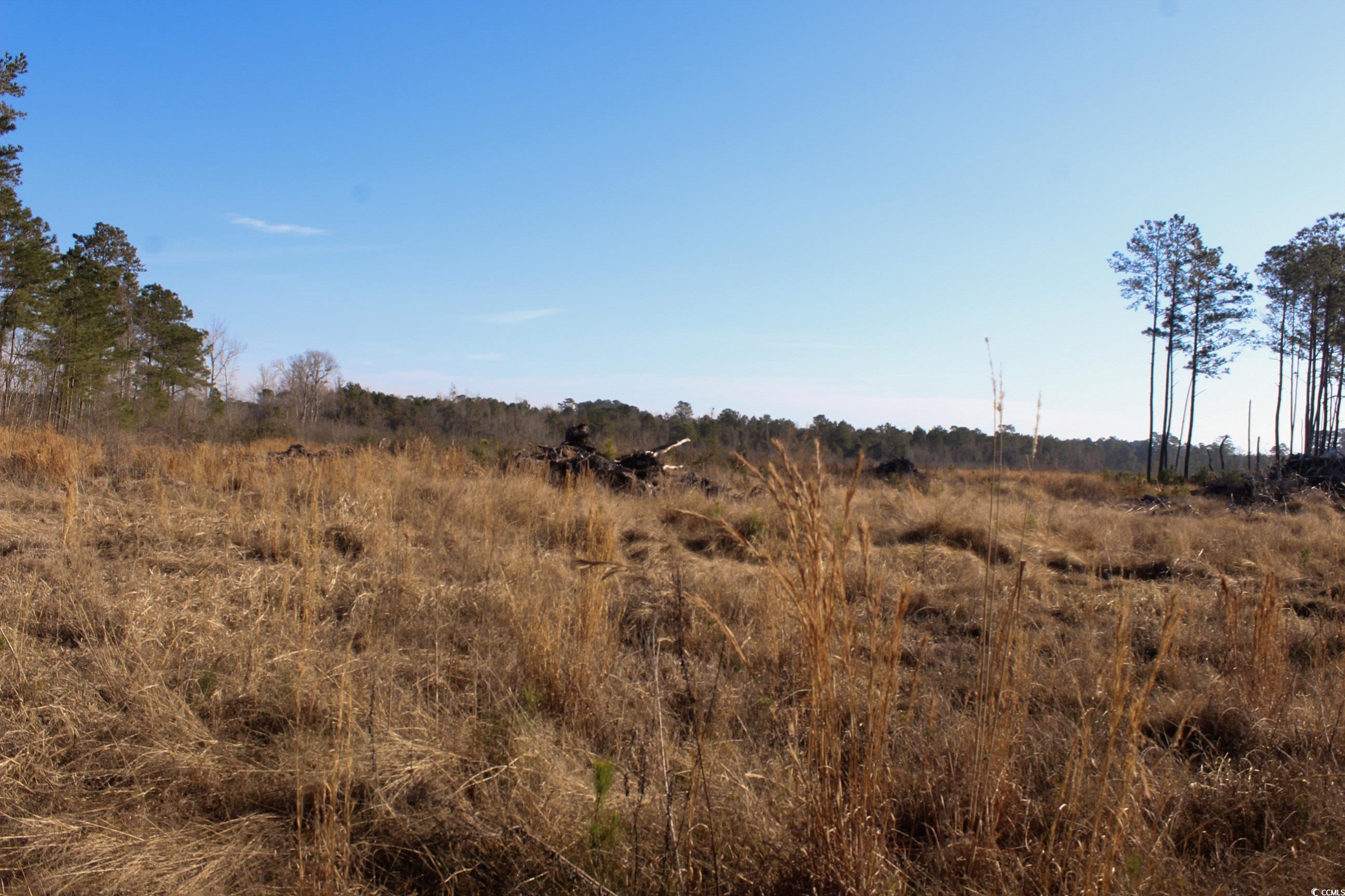 Tbd Penderboro Rd. Property Photo 2