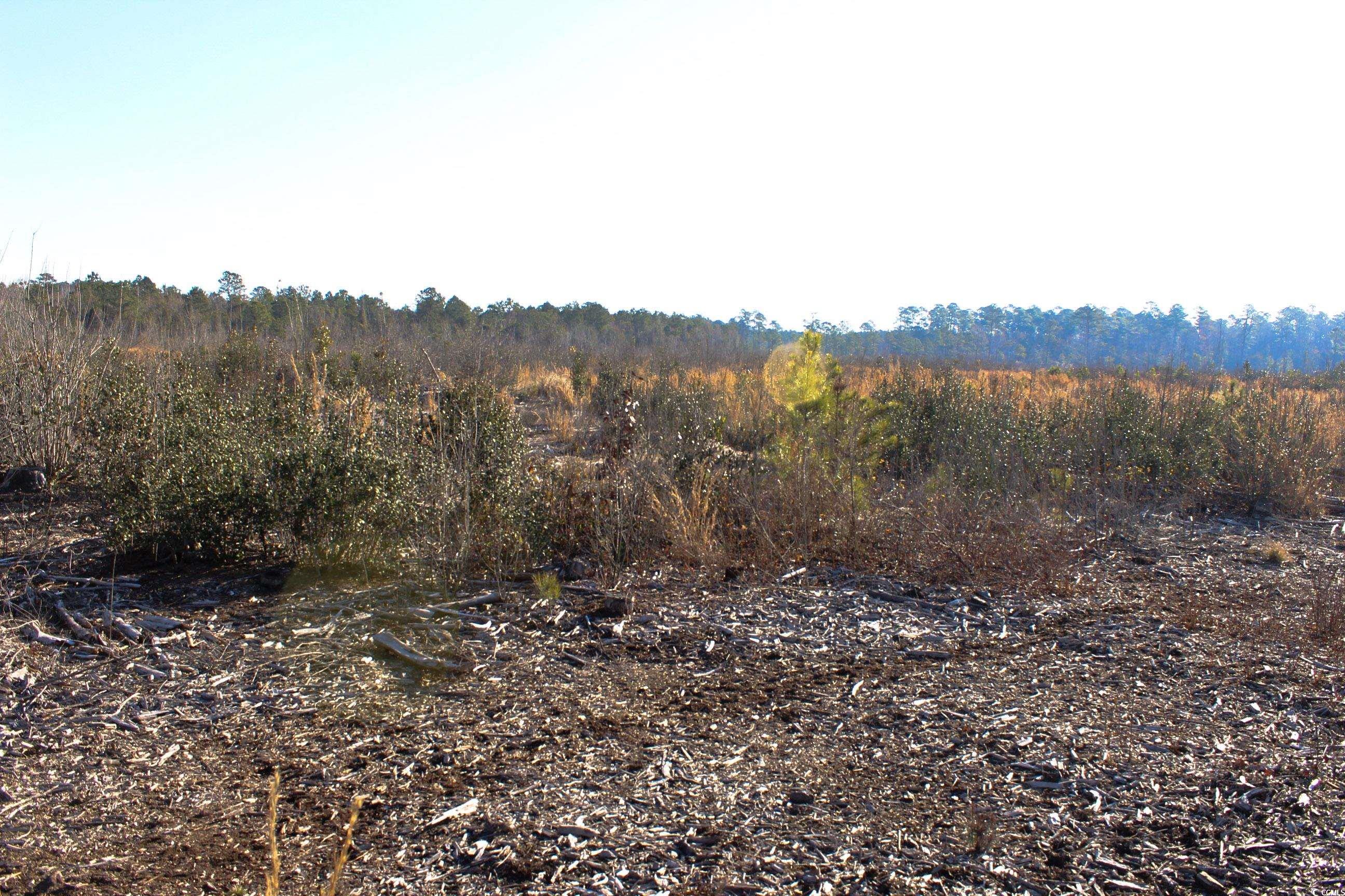 Tbd Penderboro Rd. Property Photo 3