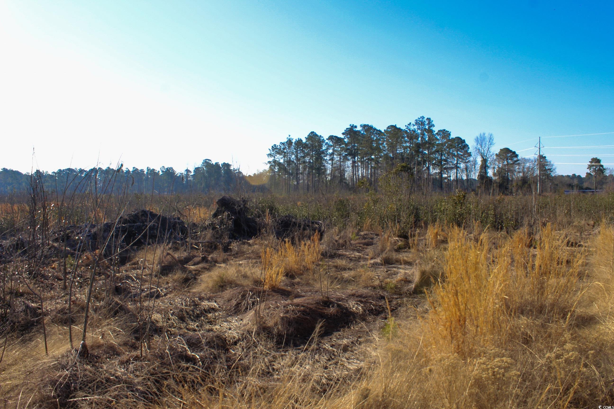 Tbd Penderboro Rd. Property Photo 5