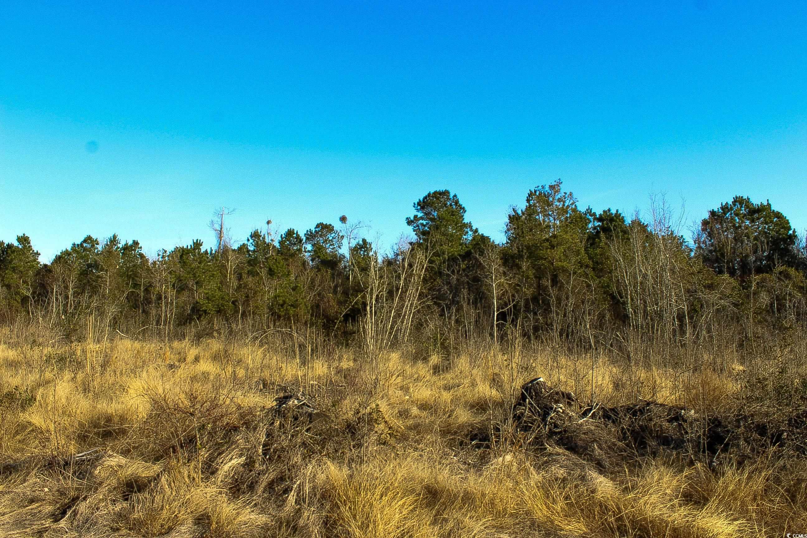 Tbd Penderboro Rd. Property Photo 6