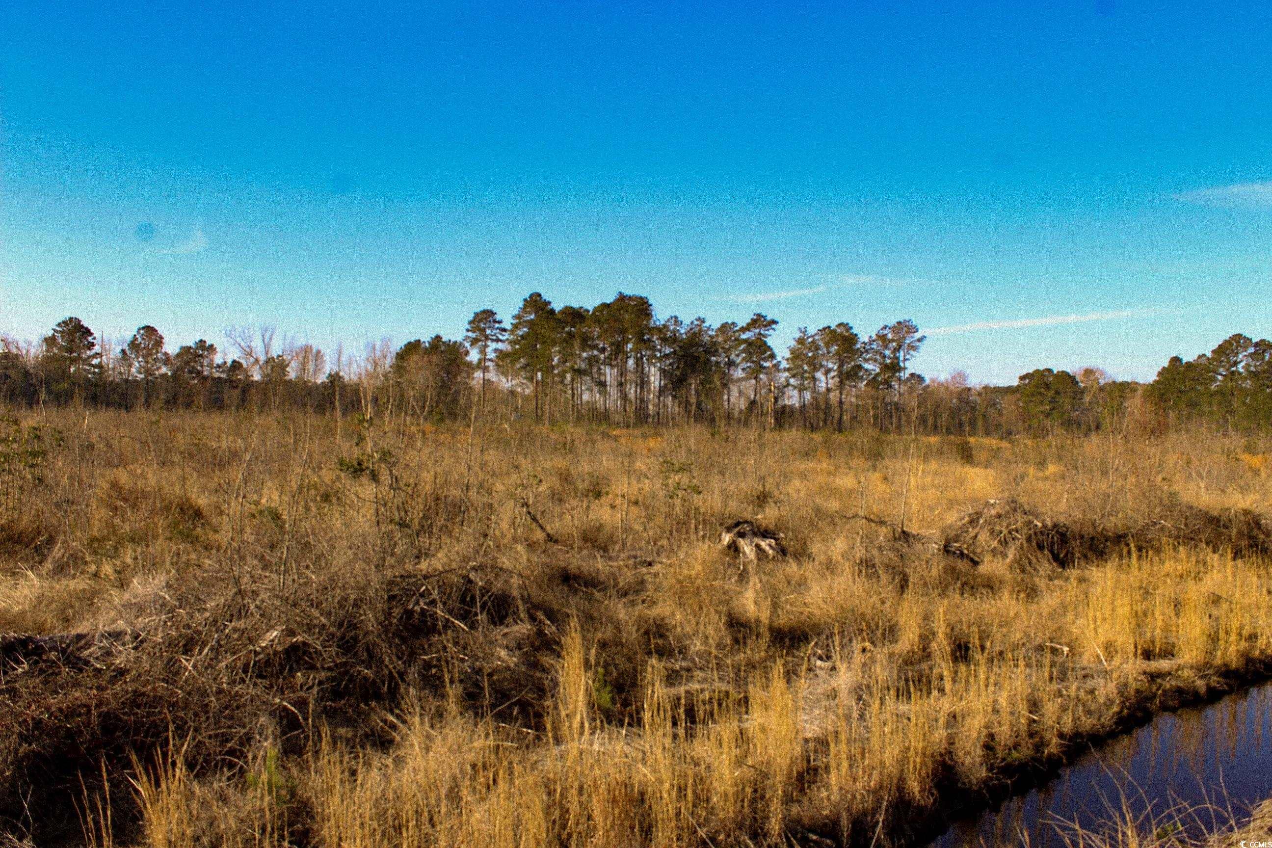 Tbd Penderboro Rd. Property Photo 7