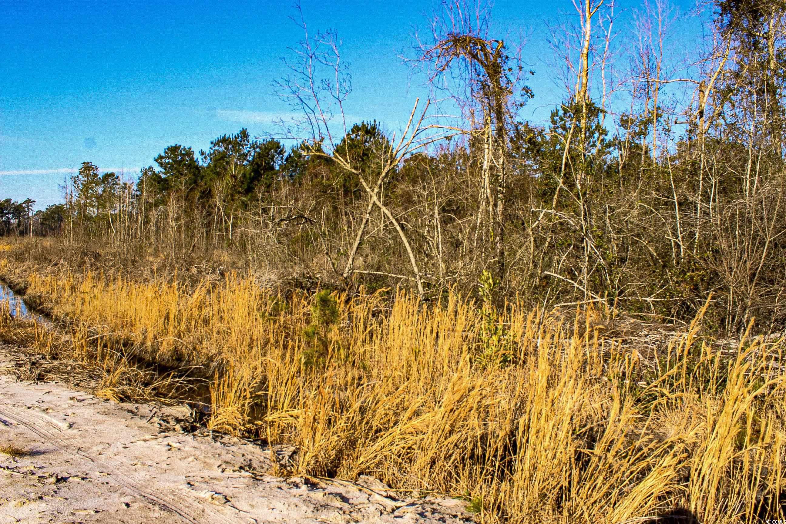 Tbd Penderboro Rd. Property Photo 9