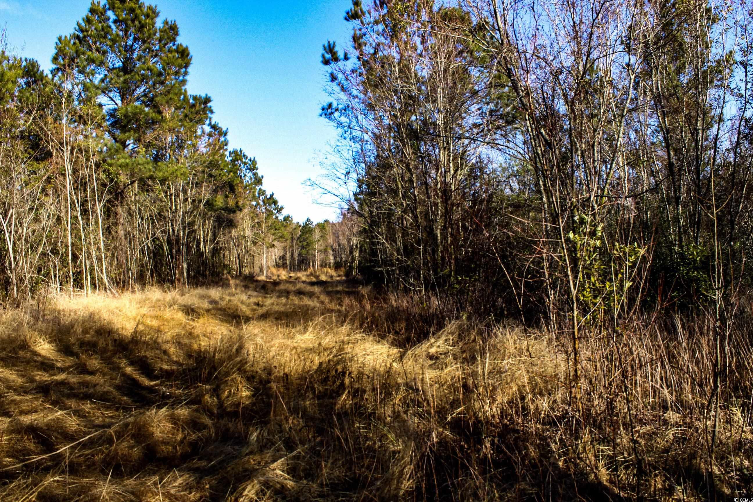 Tbd Penderboro Rd. Property Photo 11