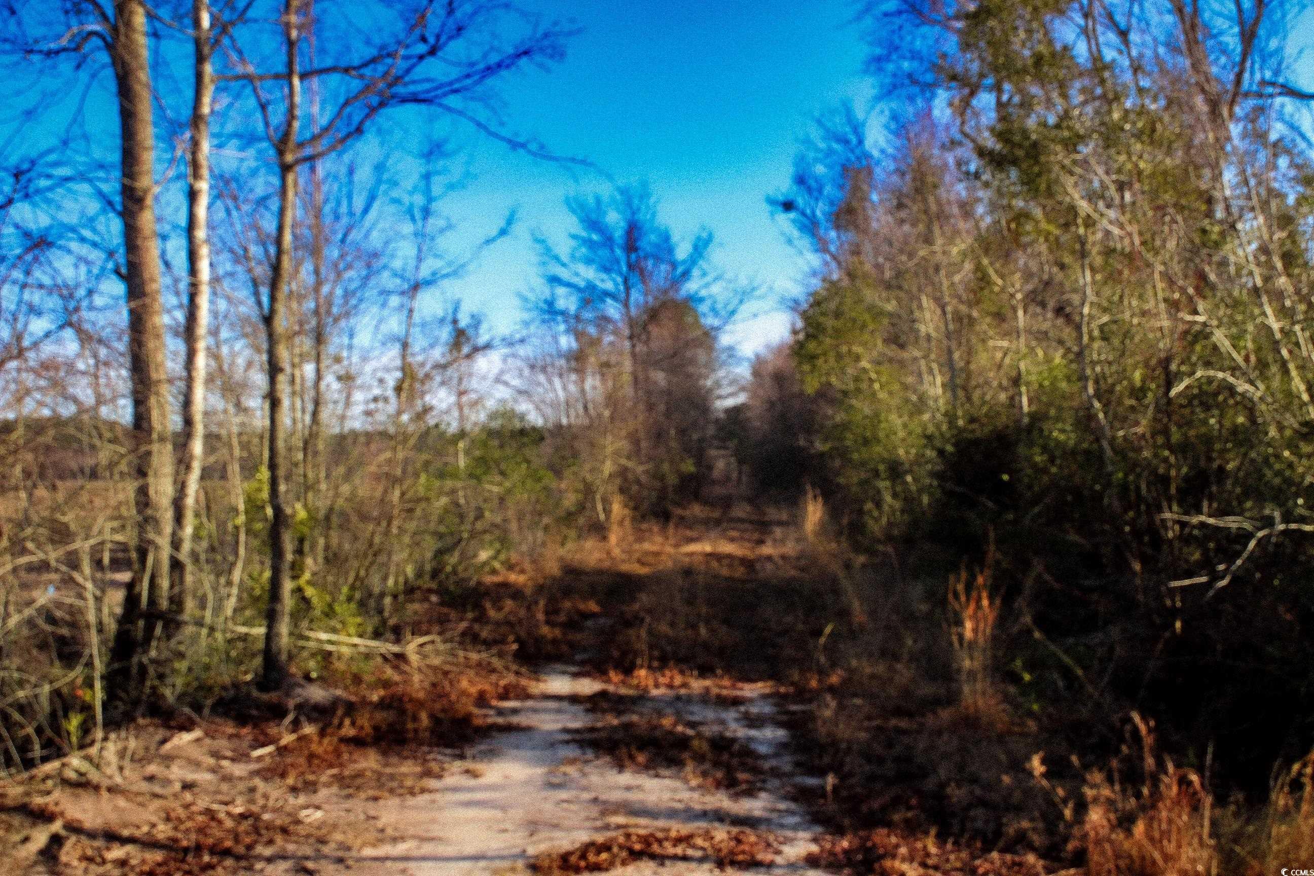 Tbd Penderboro Rd. Property Photo 13